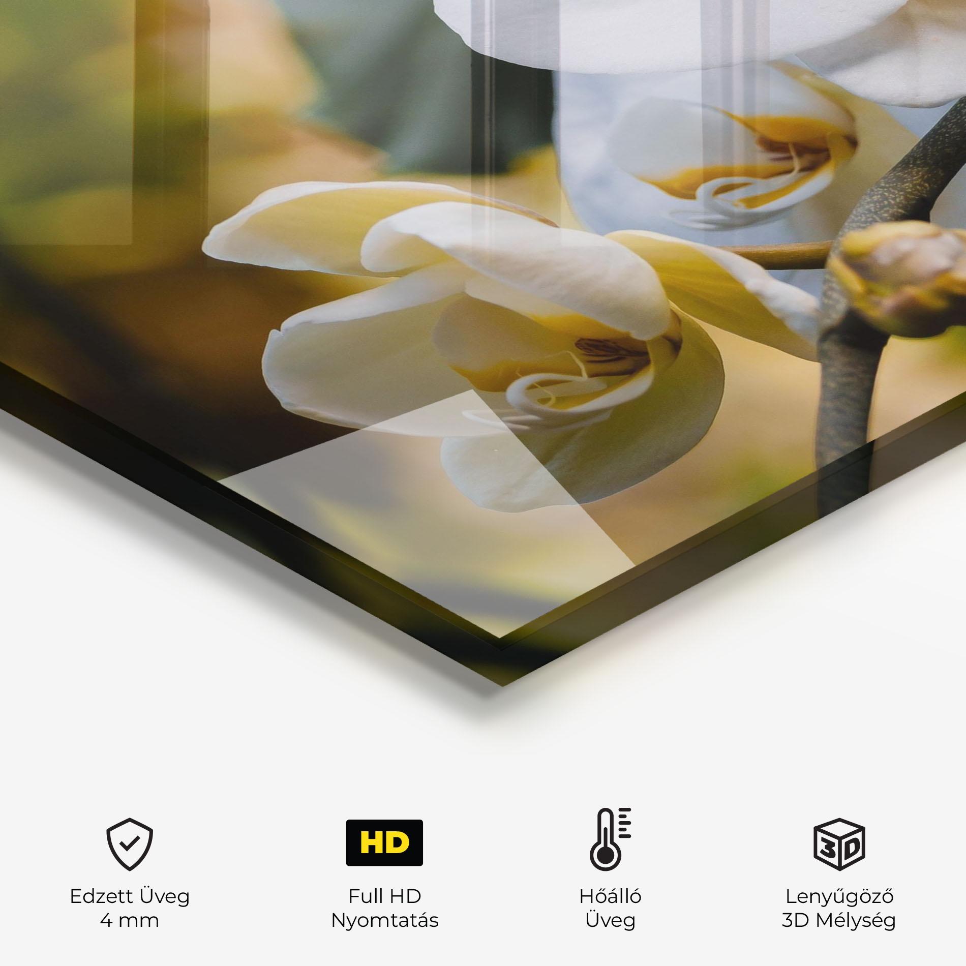 Konyhai üveg hátfal Cream Orchid In Nature mockup 2