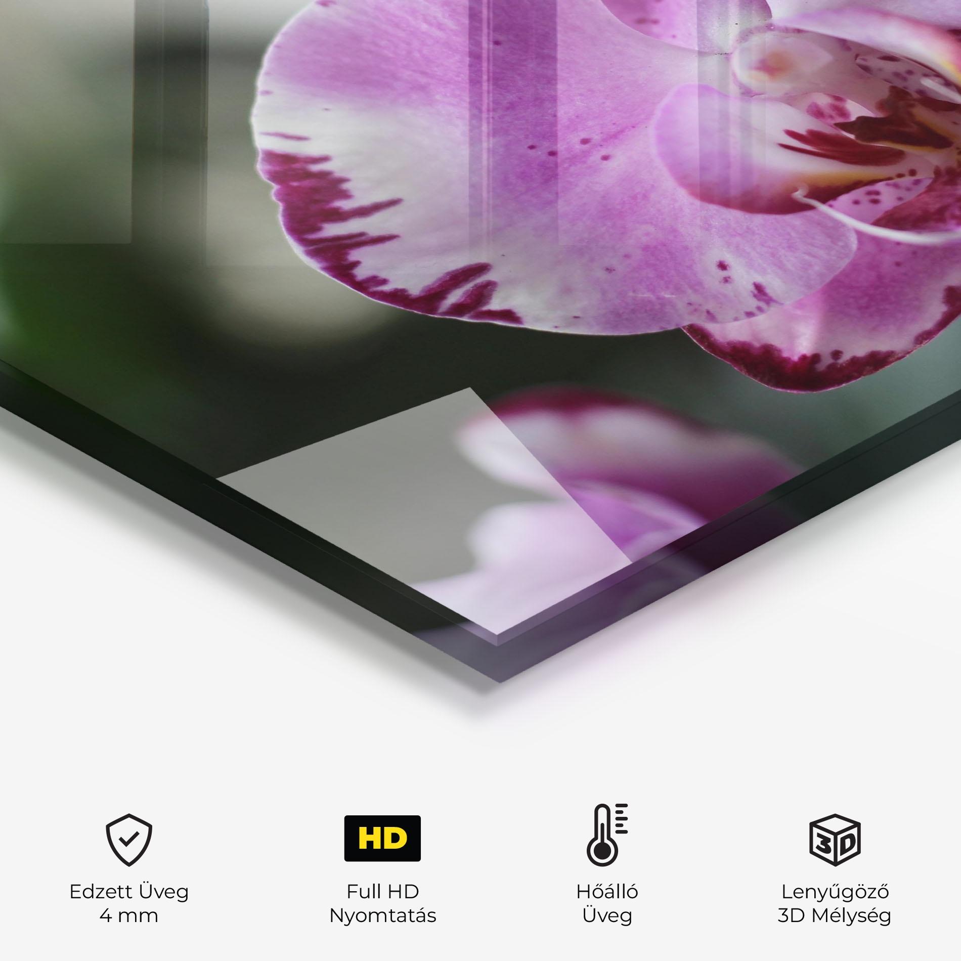 Konyhai üveg hátfal Dark Purple Orchids In Nature mockup 2