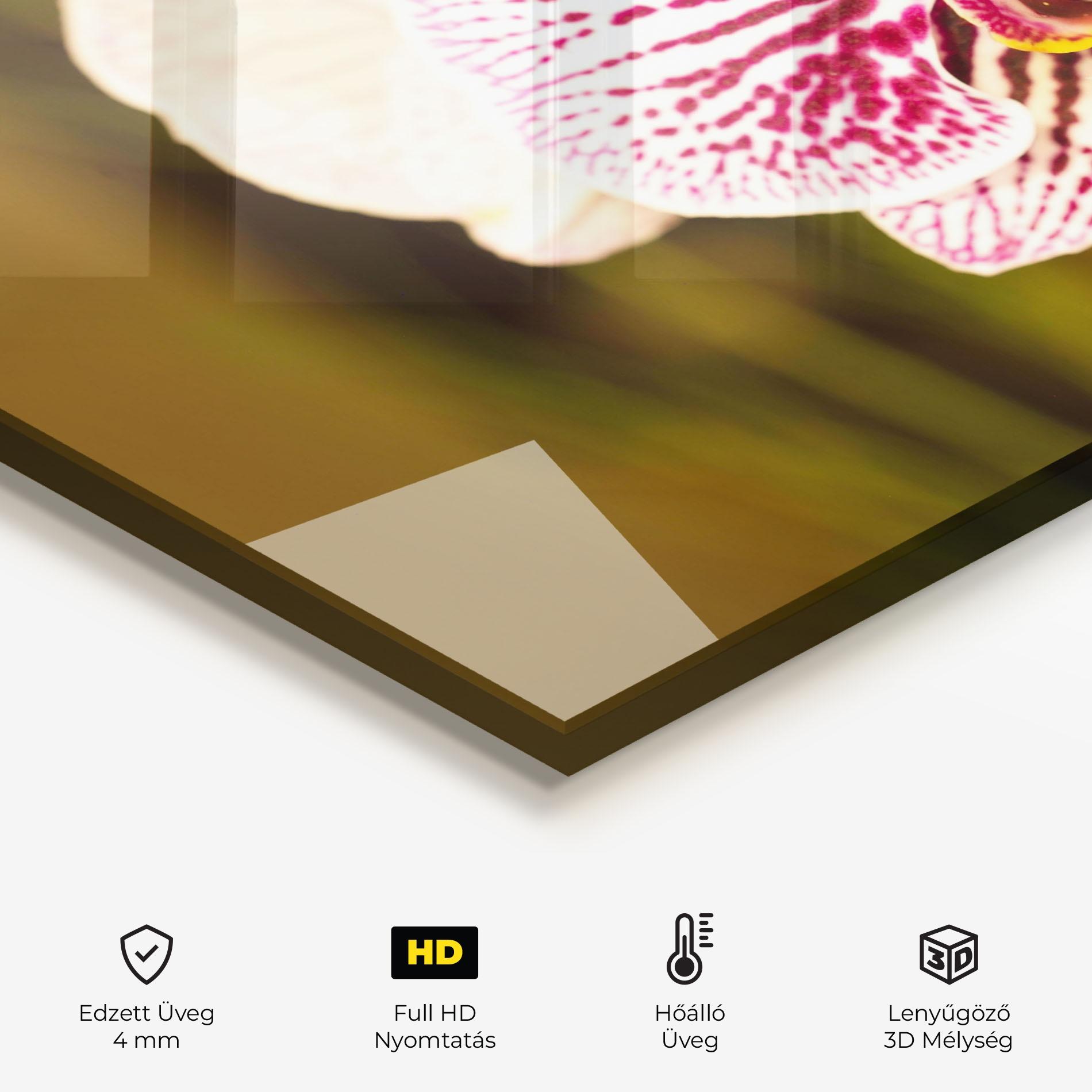 Konyhai üveg hátfal Garden Orchids mockup 2