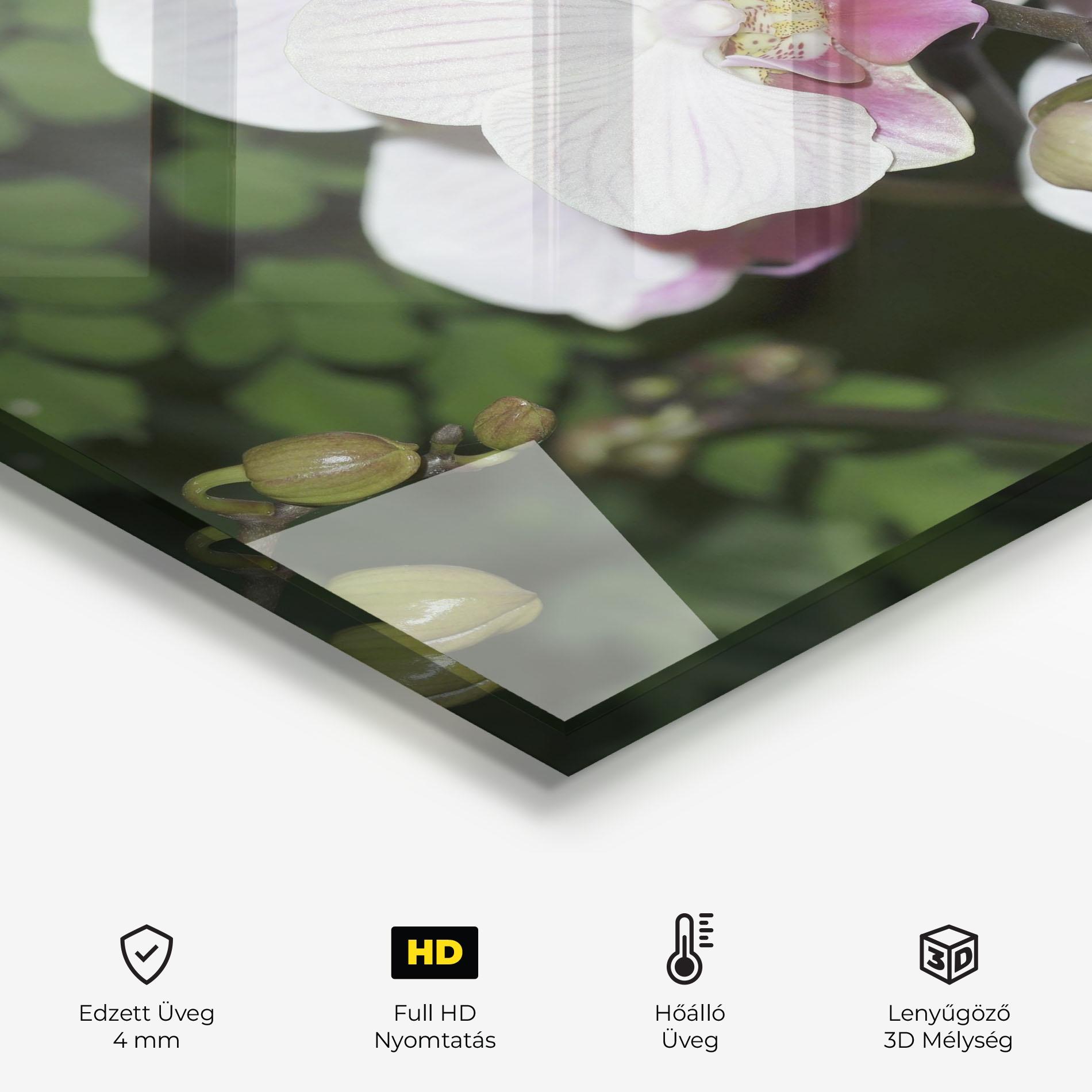 Konyhai üveg hátfal Orchid Botanical Garden mockup 2