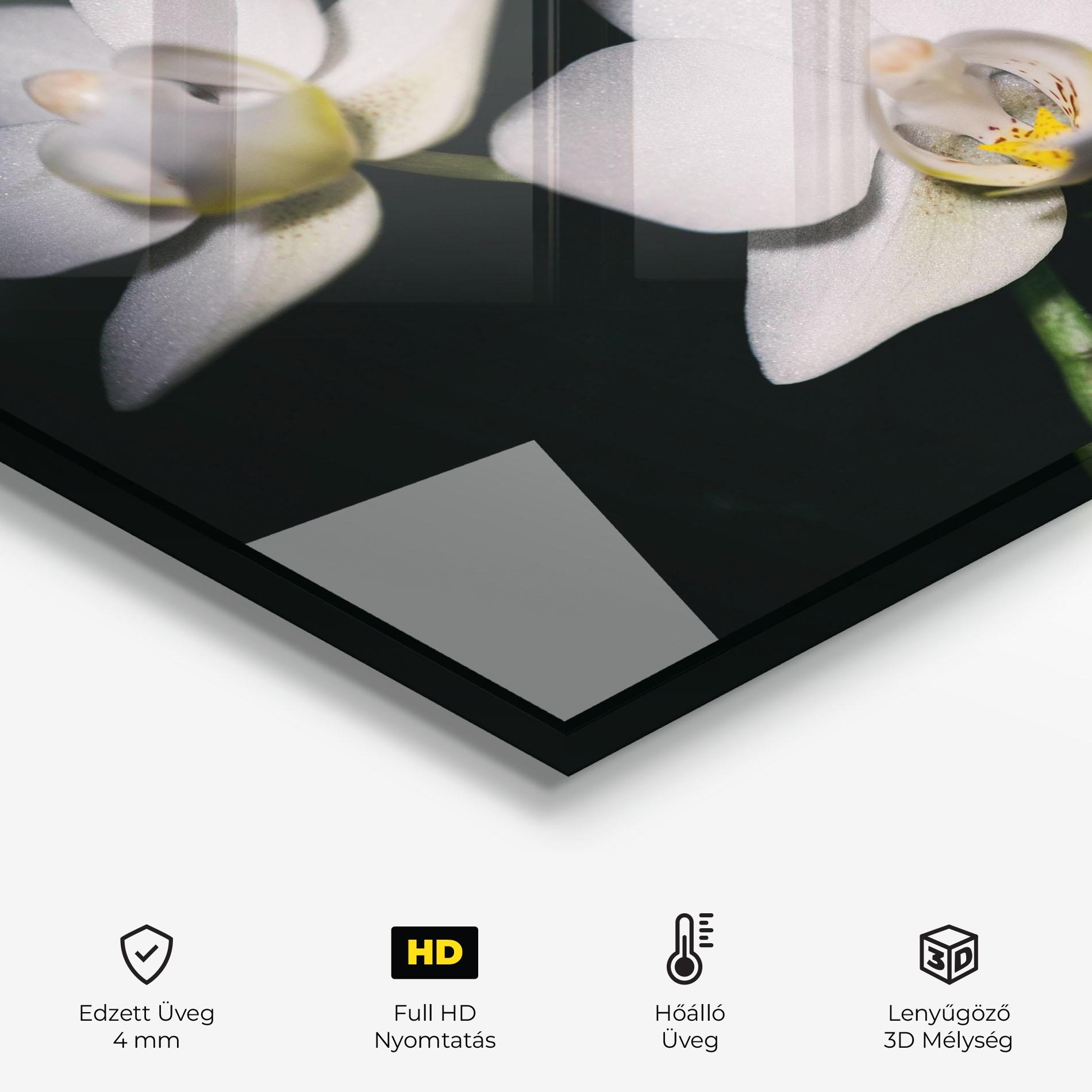 Konyhai üveg hátfal Orchids On Black mockup 2