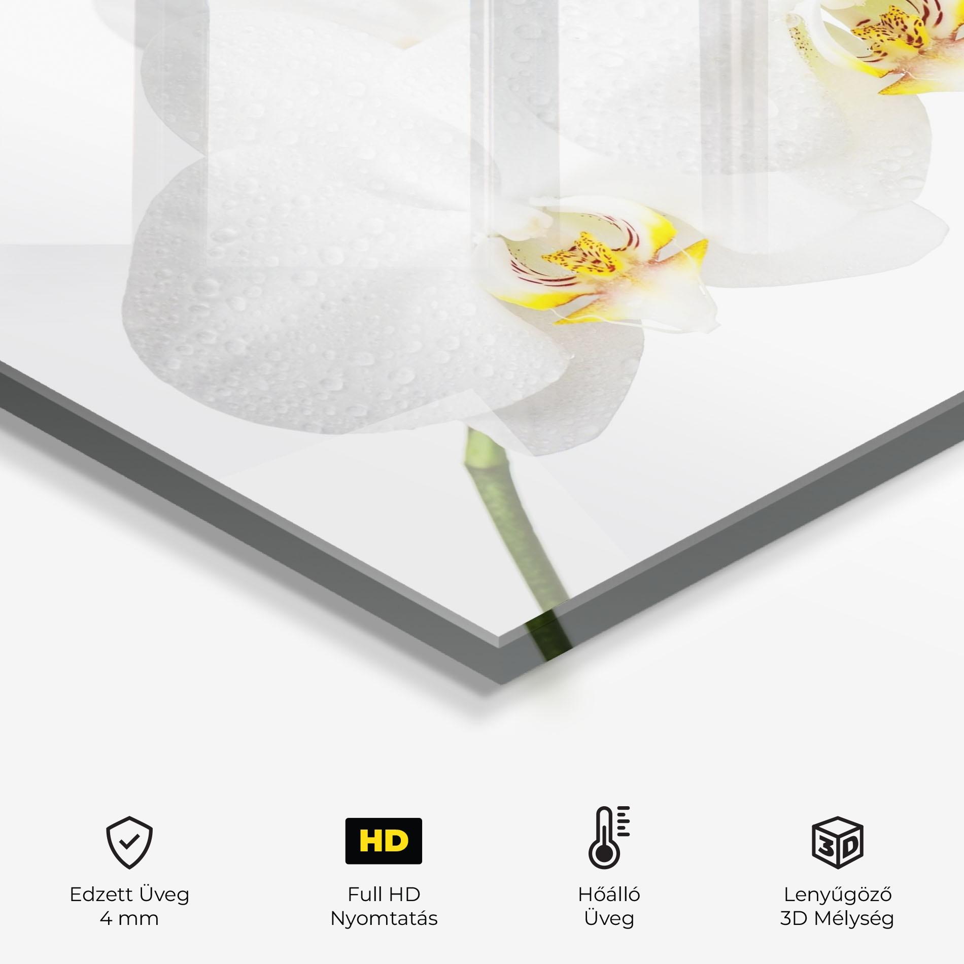 Konyhai üveg hátfal Orchids On White mockup 2