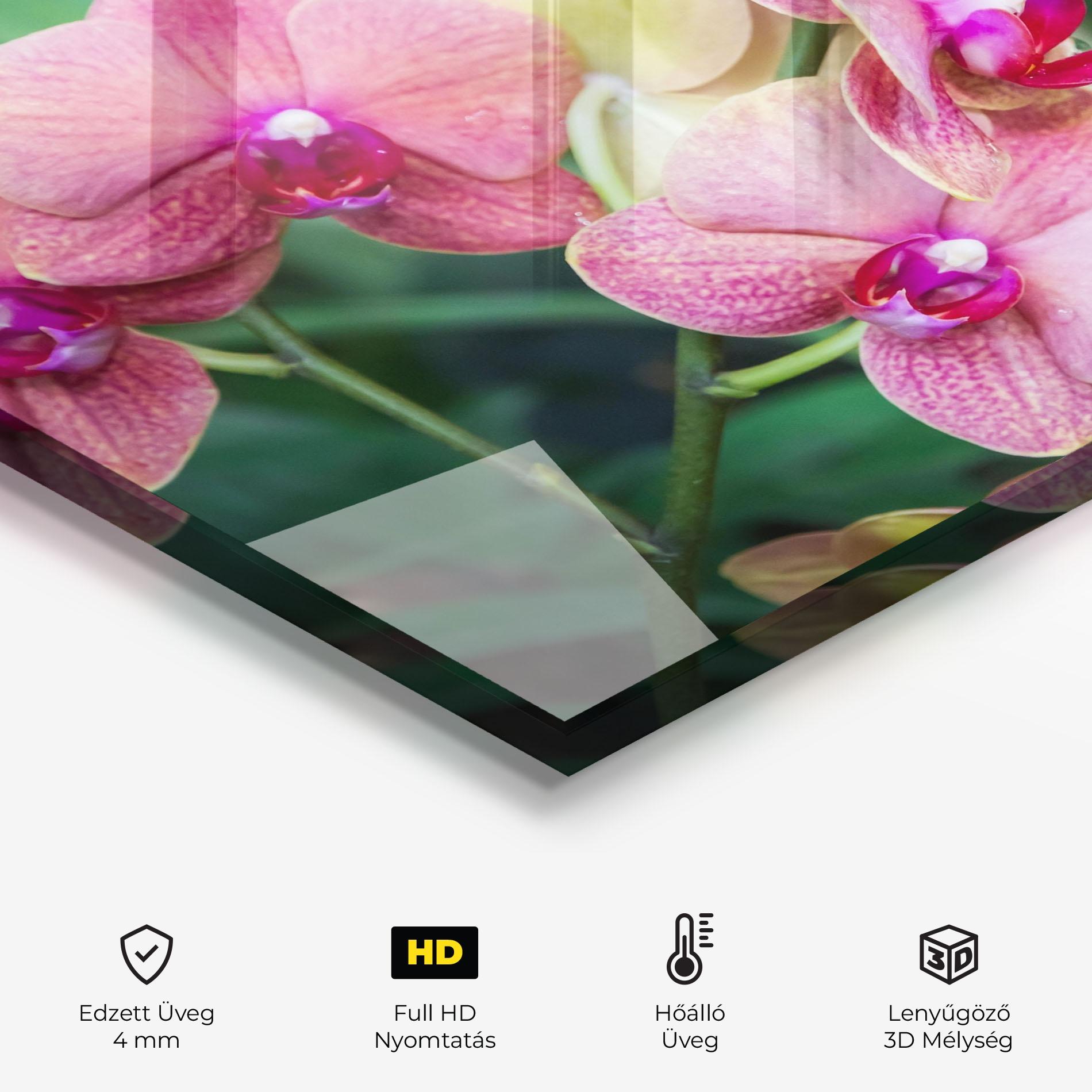 Konyhai üveg hátfal Yellow Oink Orchid mockup 2