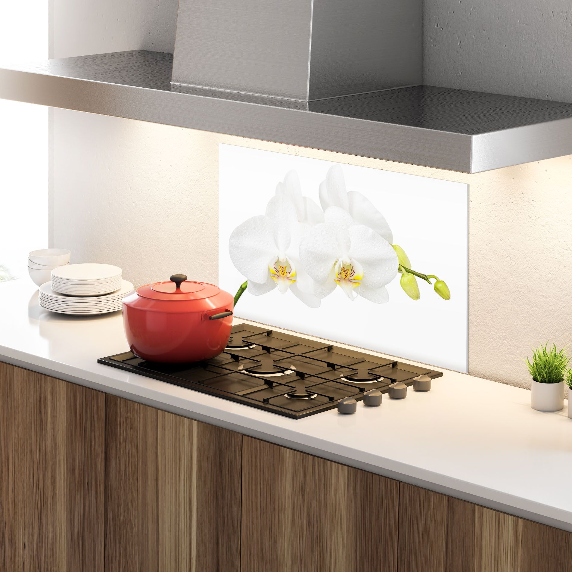 Orchids On White mockup 4