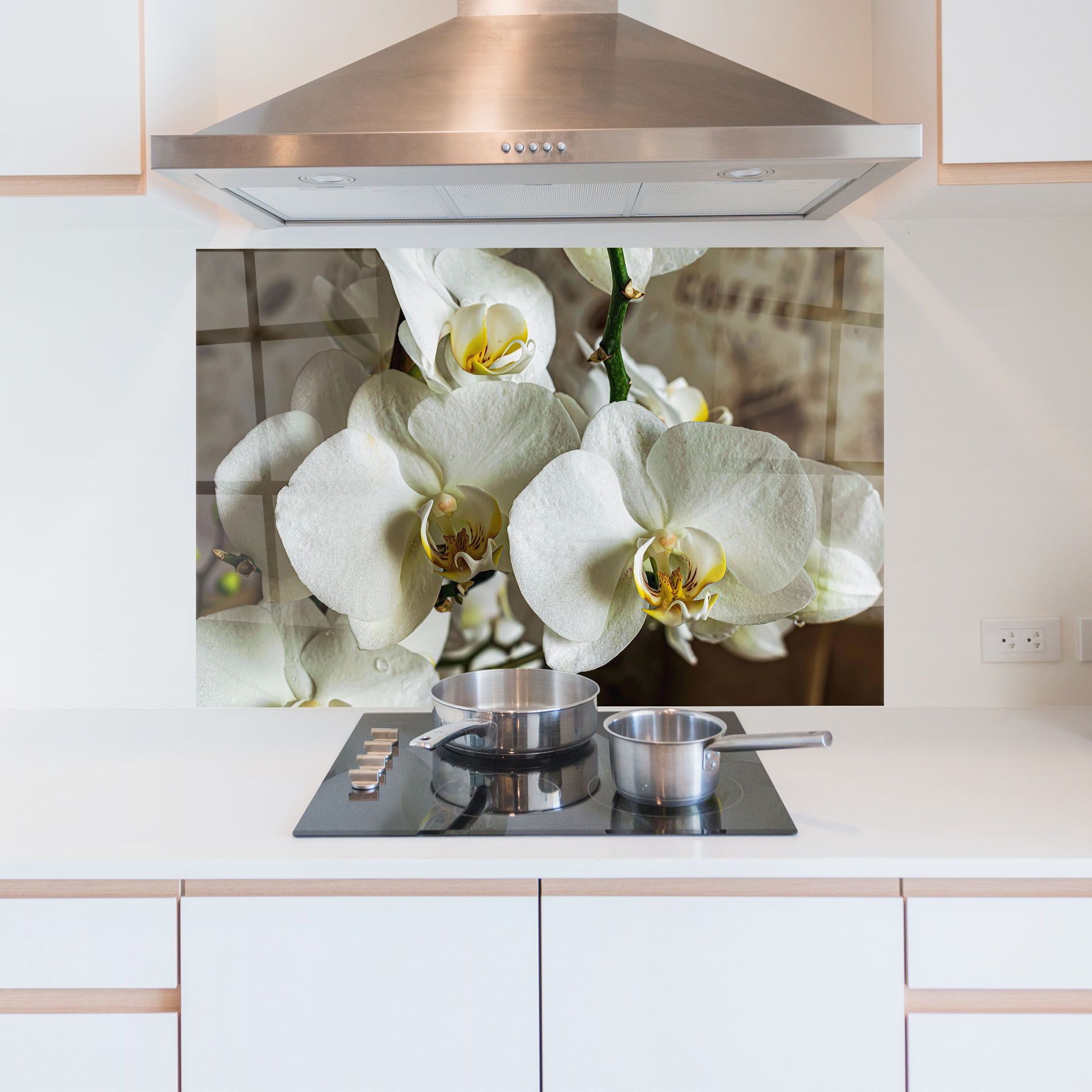 Beautiful White Orchids mockup 5