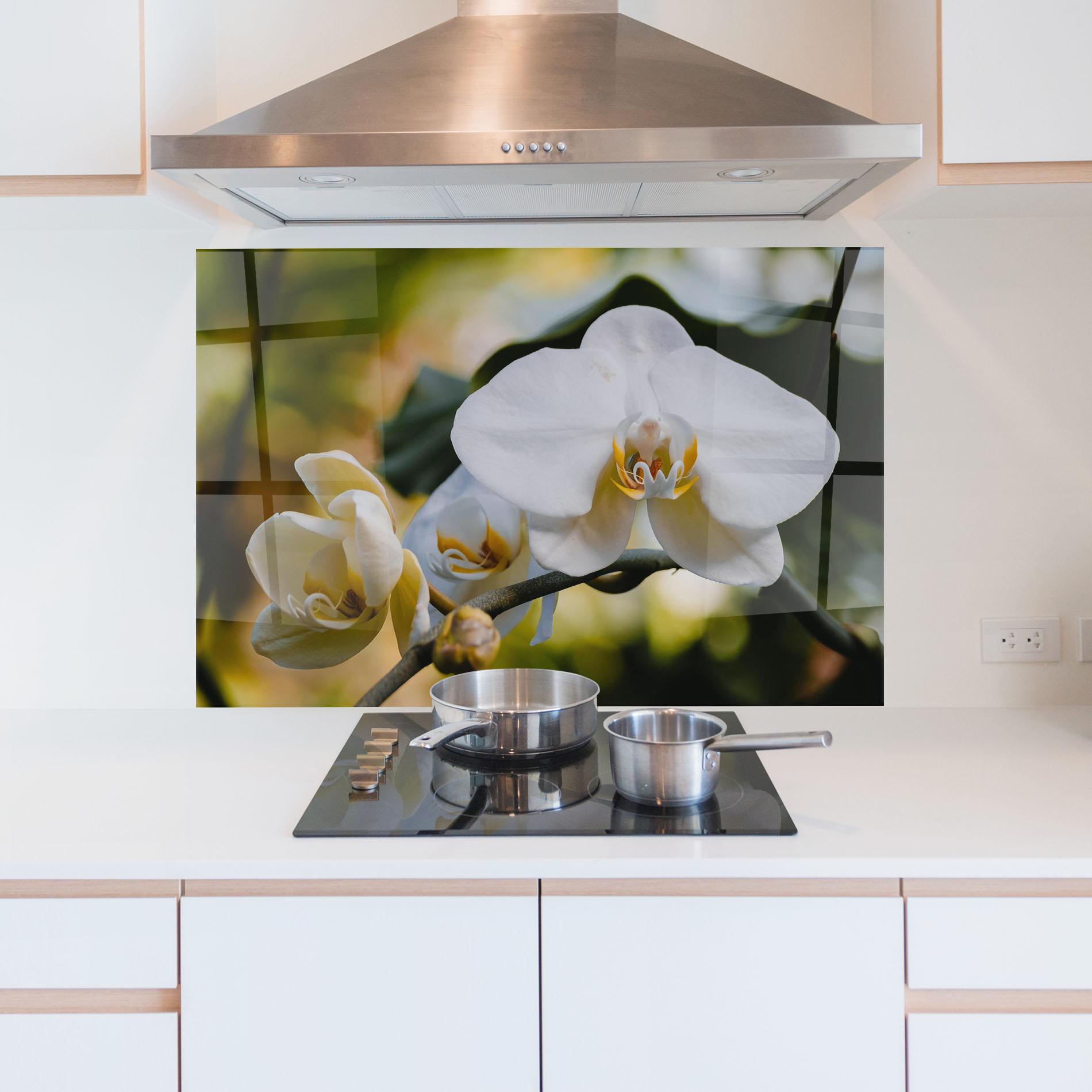 Konyhai üveg hátfal Cream Orchid In Nature mockup 5