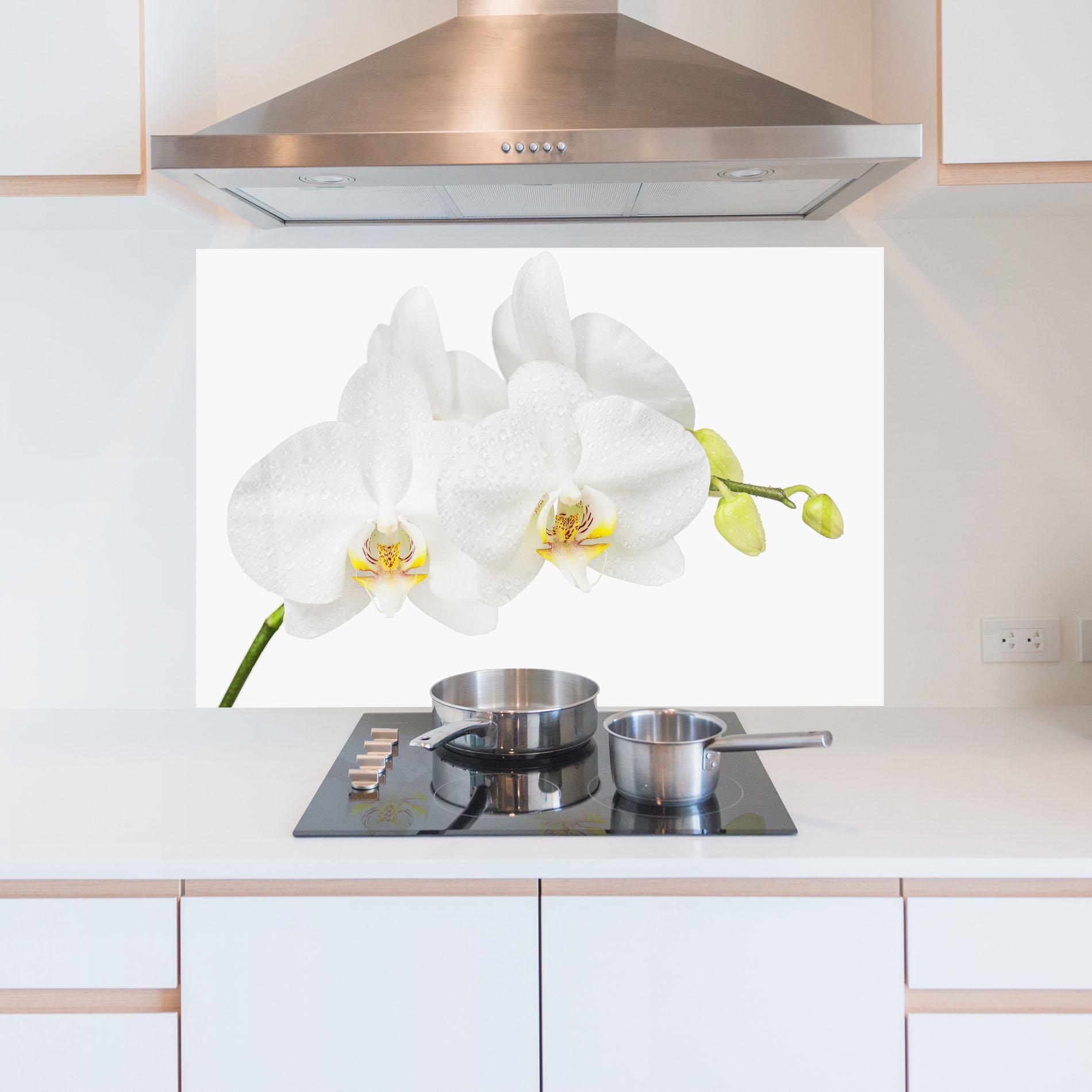 Konyhai üveg hátfal Orchids On White mockup 5