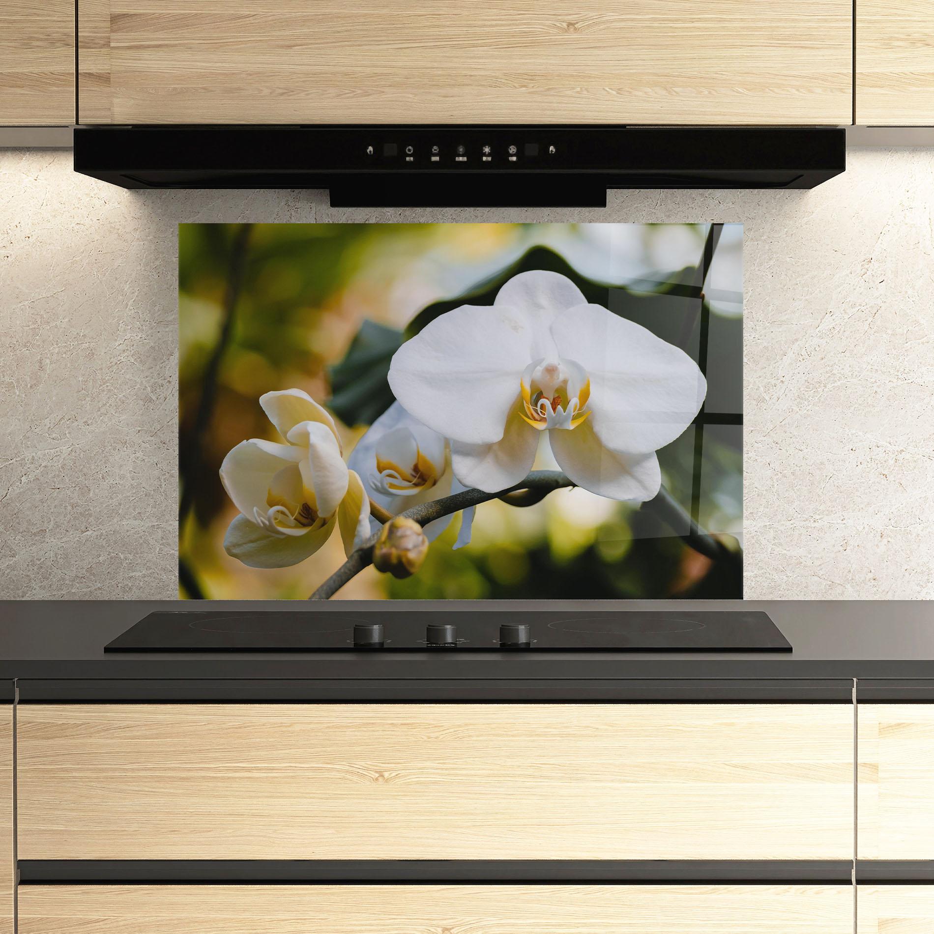 Konyhai üveg hátfal Cream Orchid In Nature mockup 3