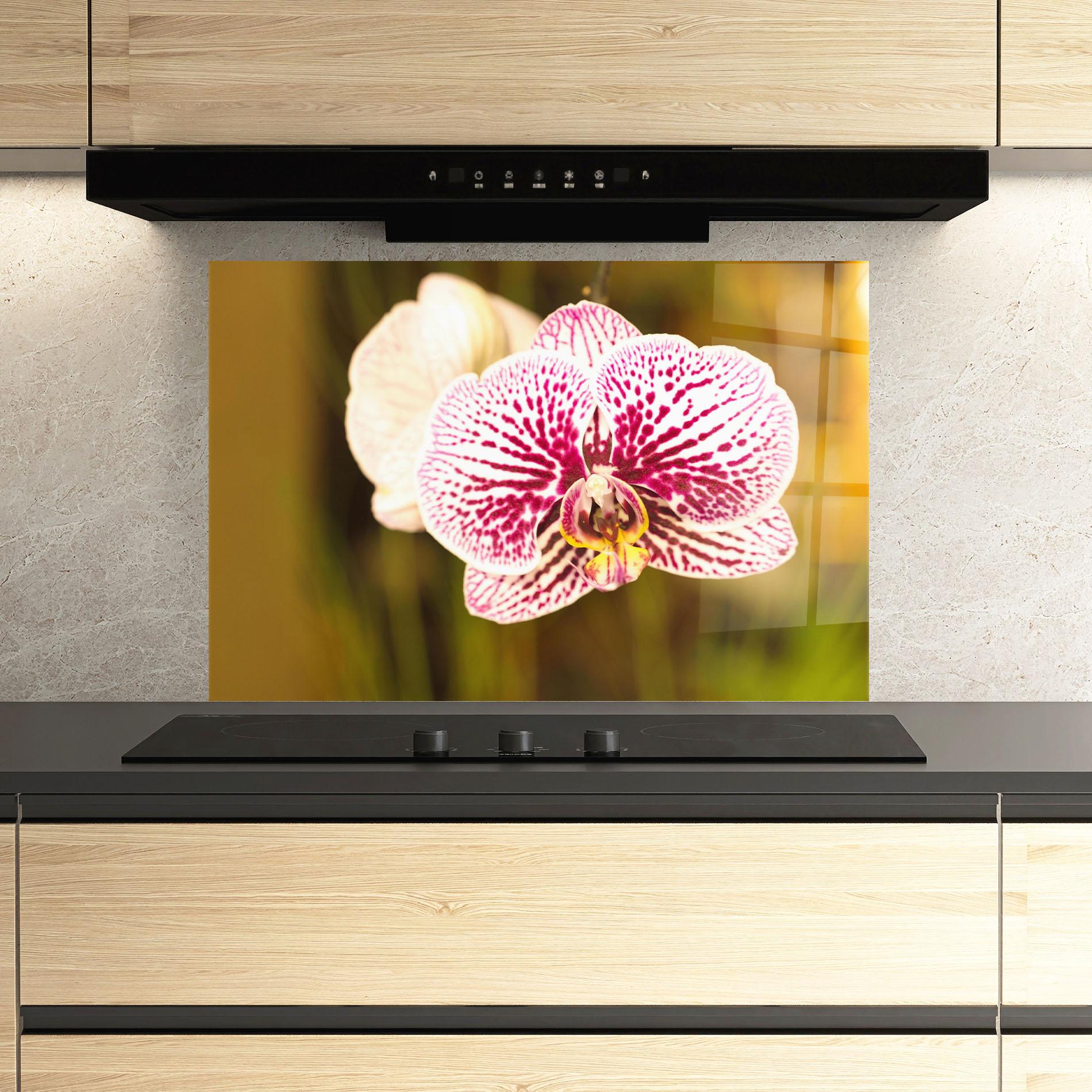 Konyhai üveg hátfal Garden Orchids mockup 3