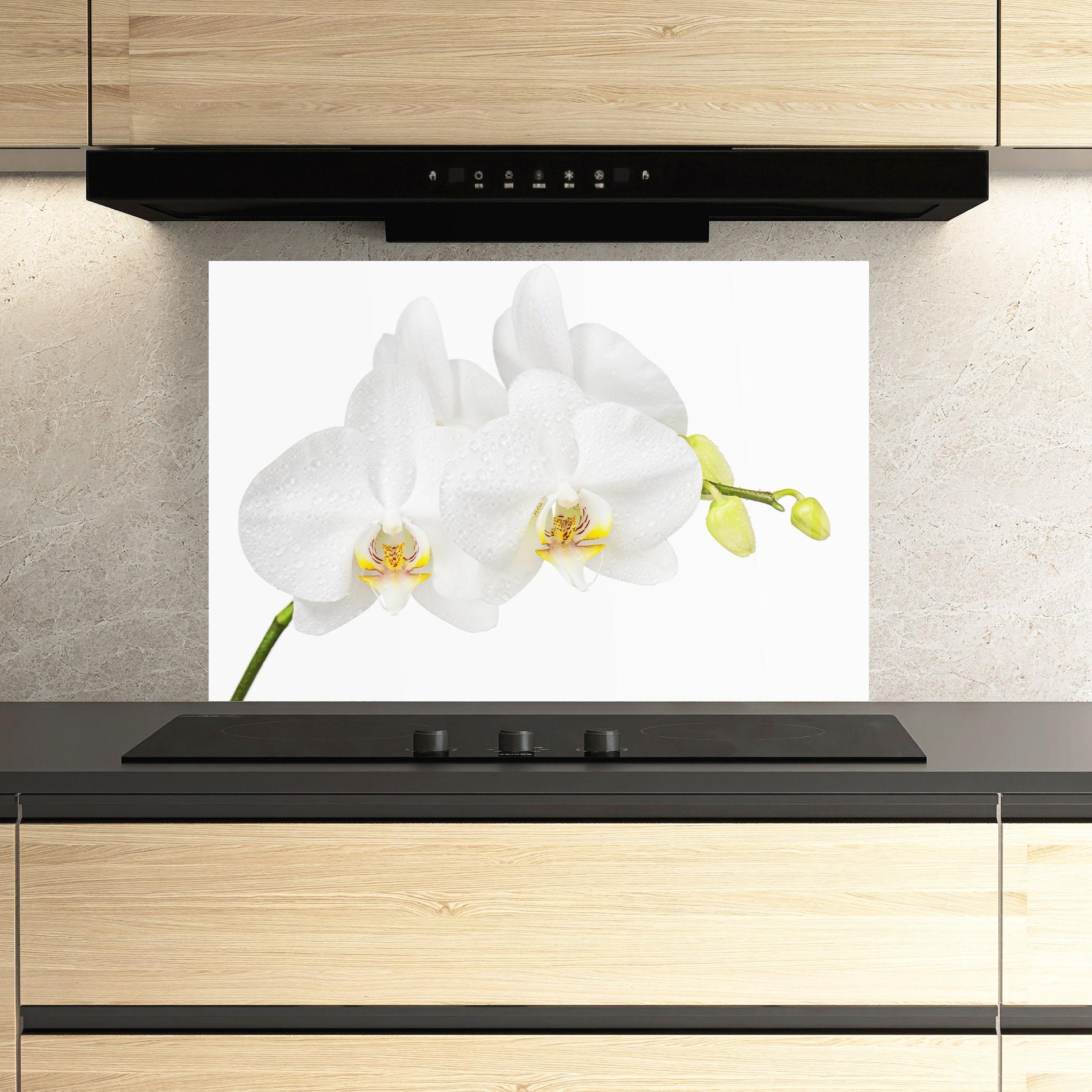 Konyhai üveg hátfal Orchids On White mockup 3