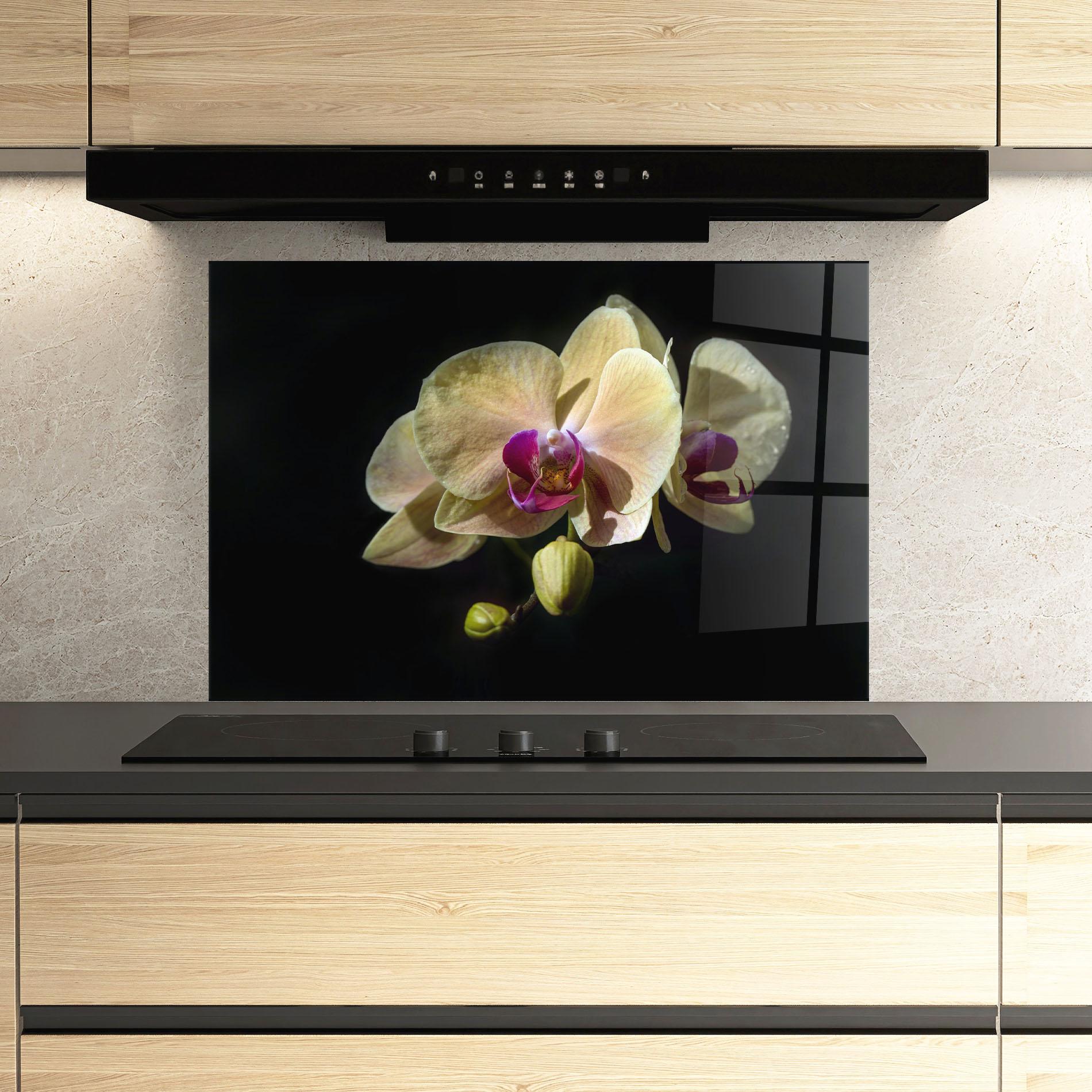Konyhai üveg hátfal Pastel Yellow Orchids mockup 3