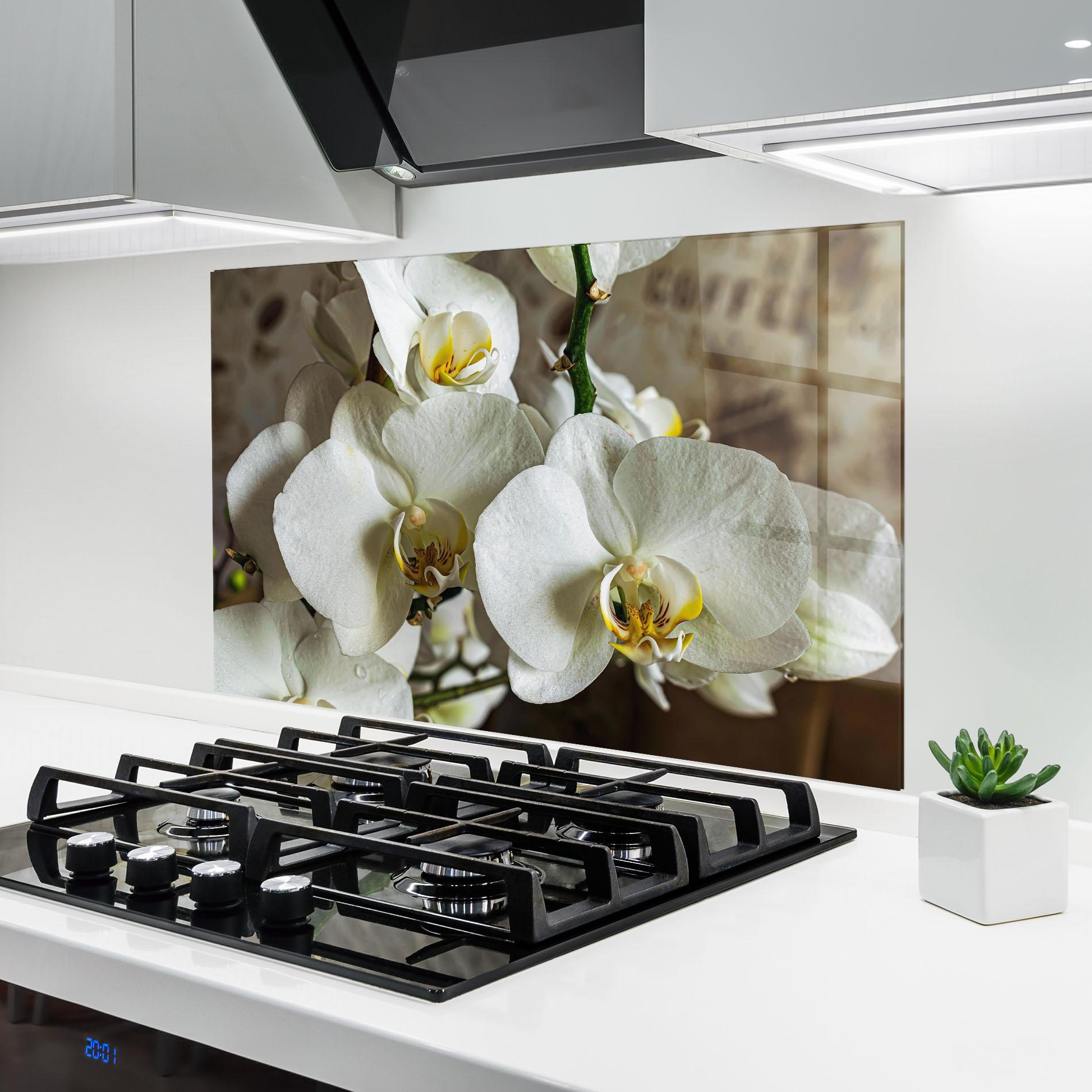 Konyhai üveg hátfal Beautiful White Orchids mockup 6