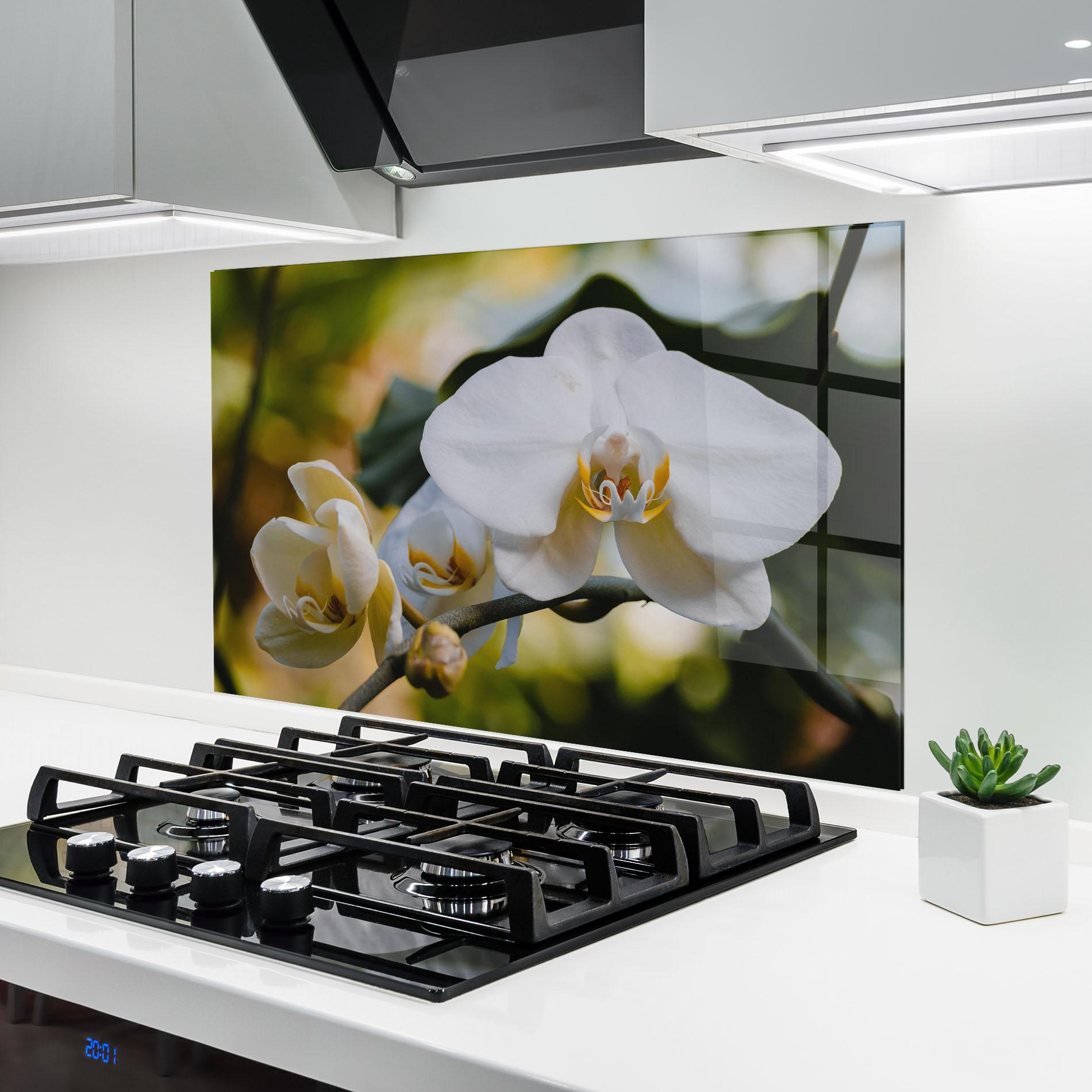 Konyhai üveg hátfal Cream Orchid In Nature mockup 6