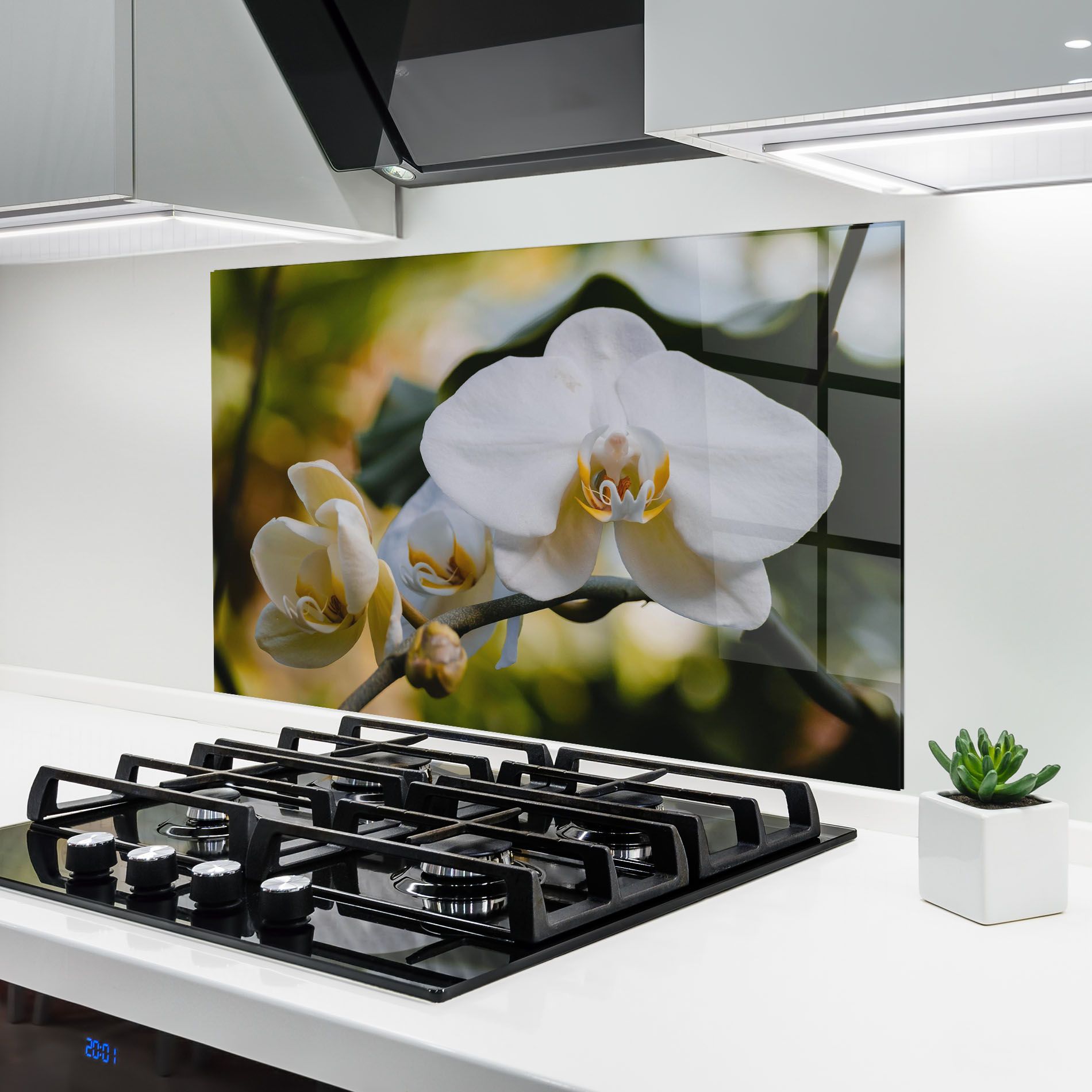 Cream Orchid In Nature mockup 6