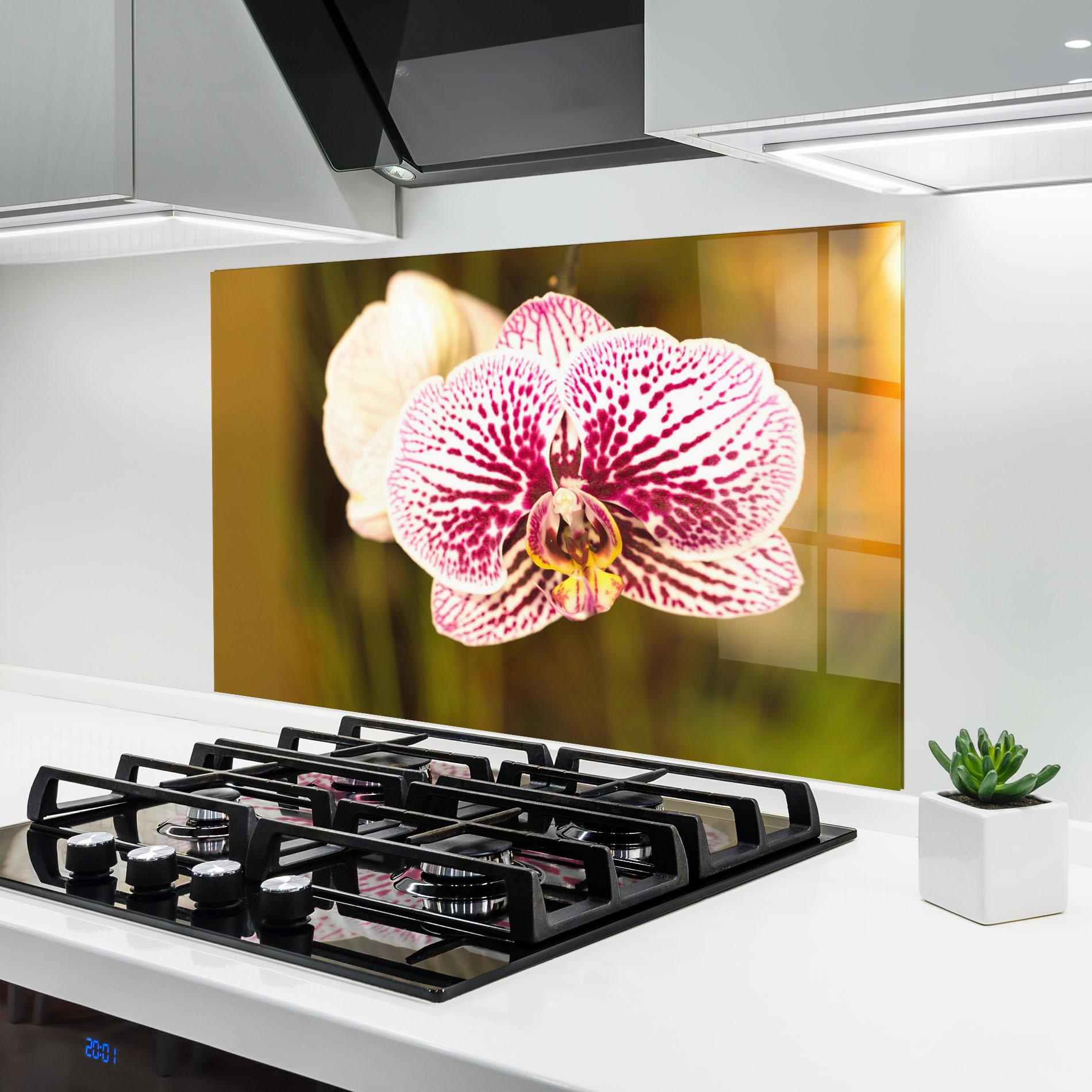 Konyhai üveg hátfal Garden Orchids mockup 6