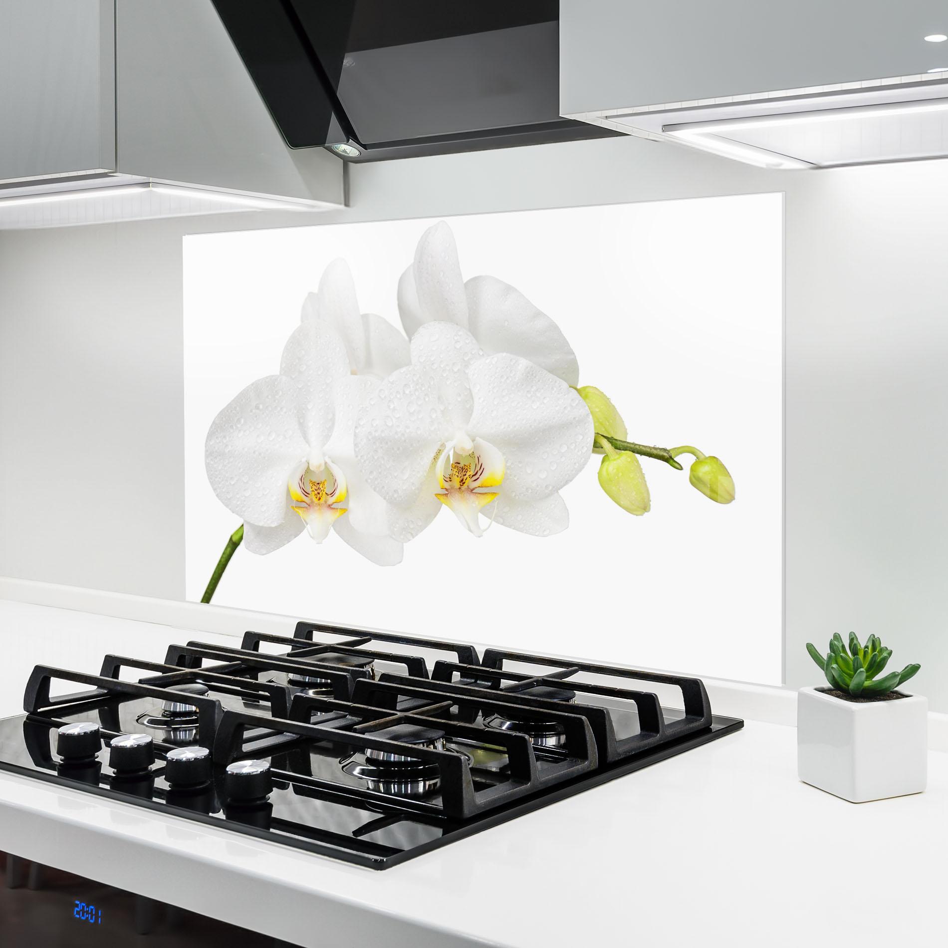 Konyhai üveg hátfal Orchids On White mockup 6