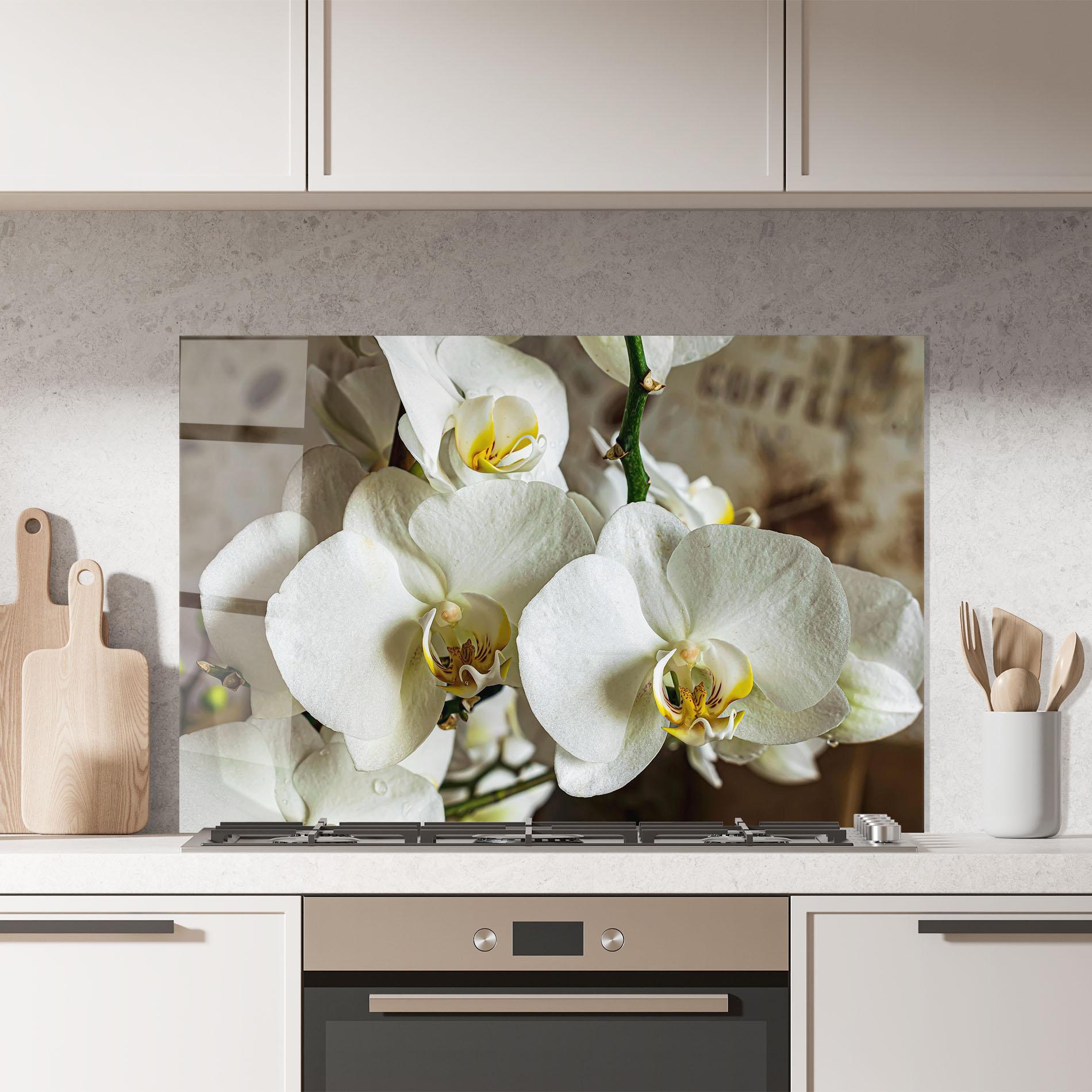 Konyhai üveg hátfal Beautiful White Orchids mockup 7