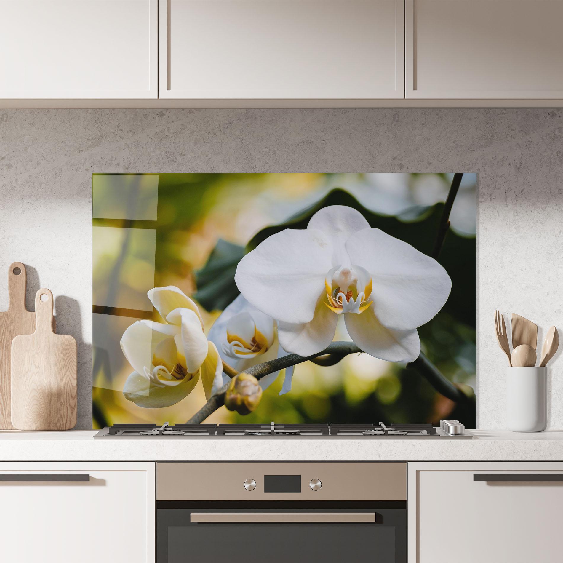 Konyhai üveg hátfal Cream Orchid In Nature mockup 7