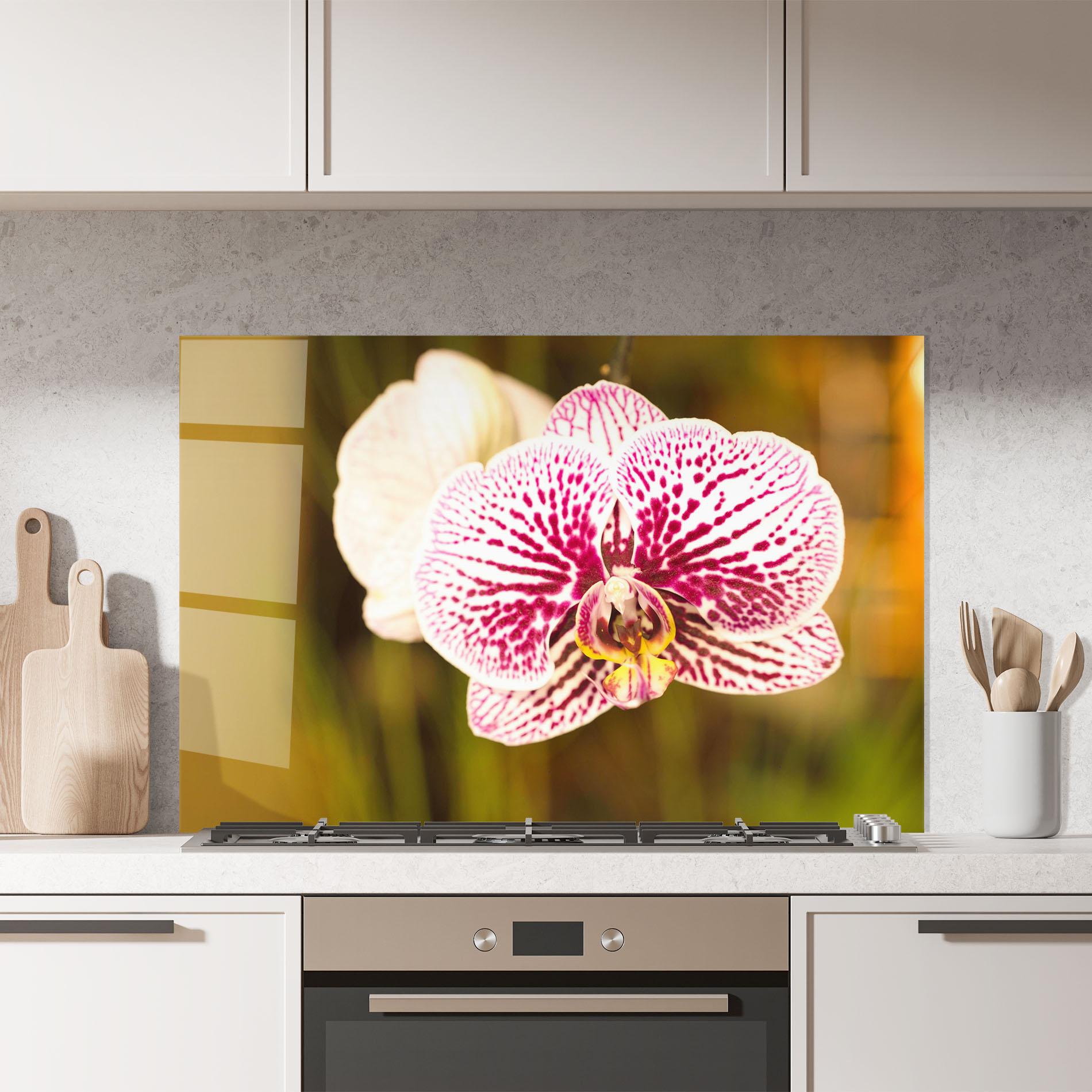 Konyhai üveg hátfal Garden Orchids mockup 7