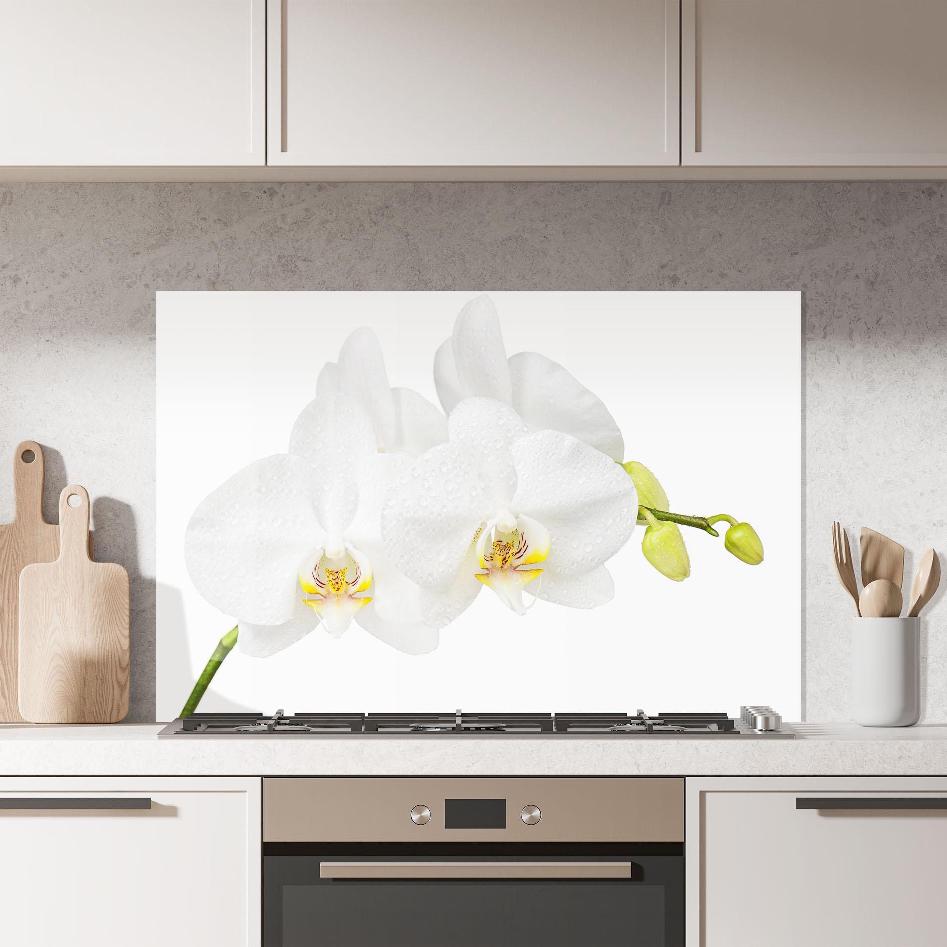 Konyhai üveg hátfal Orchids On White mockup 7
