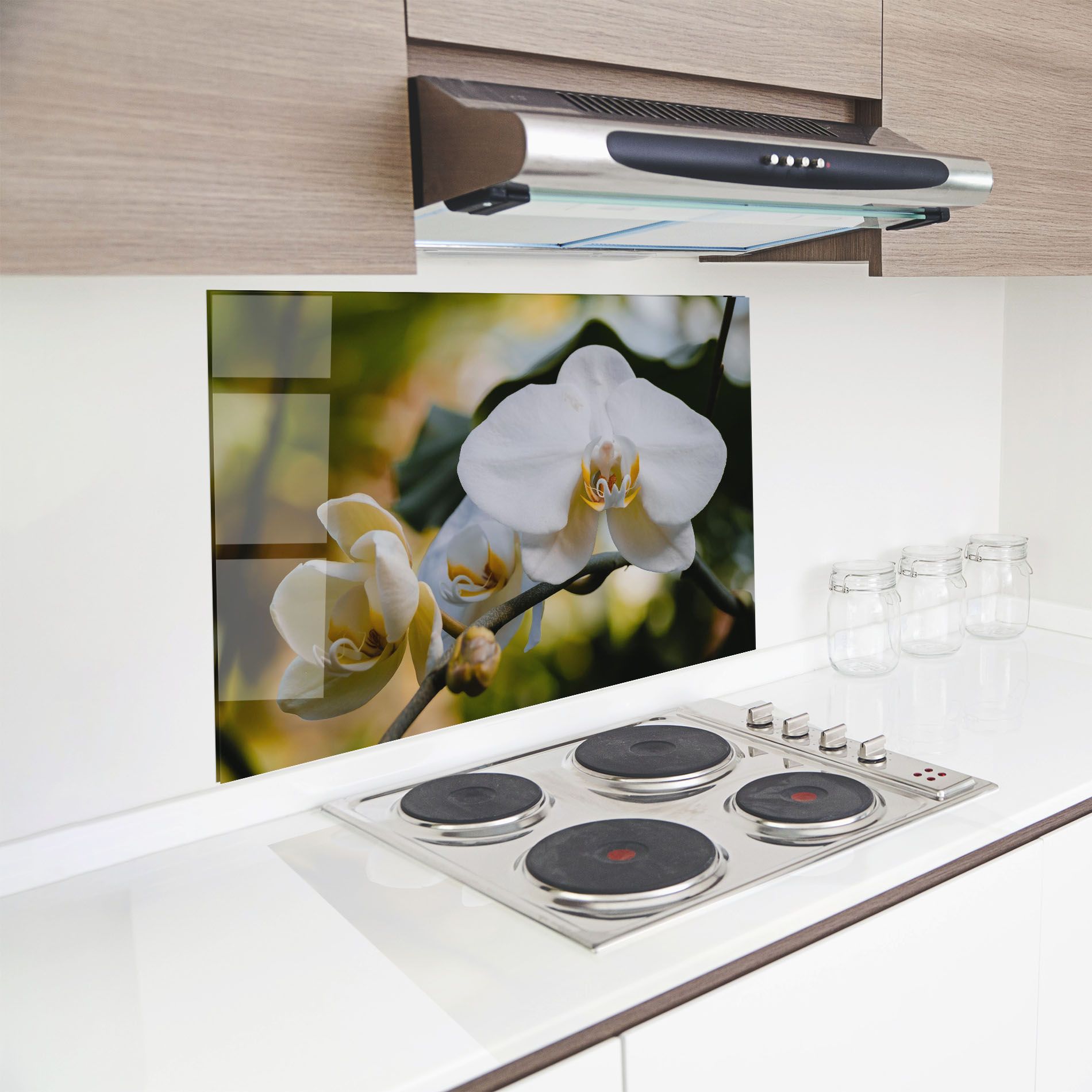 Cream Orchid In Nature mockup 8