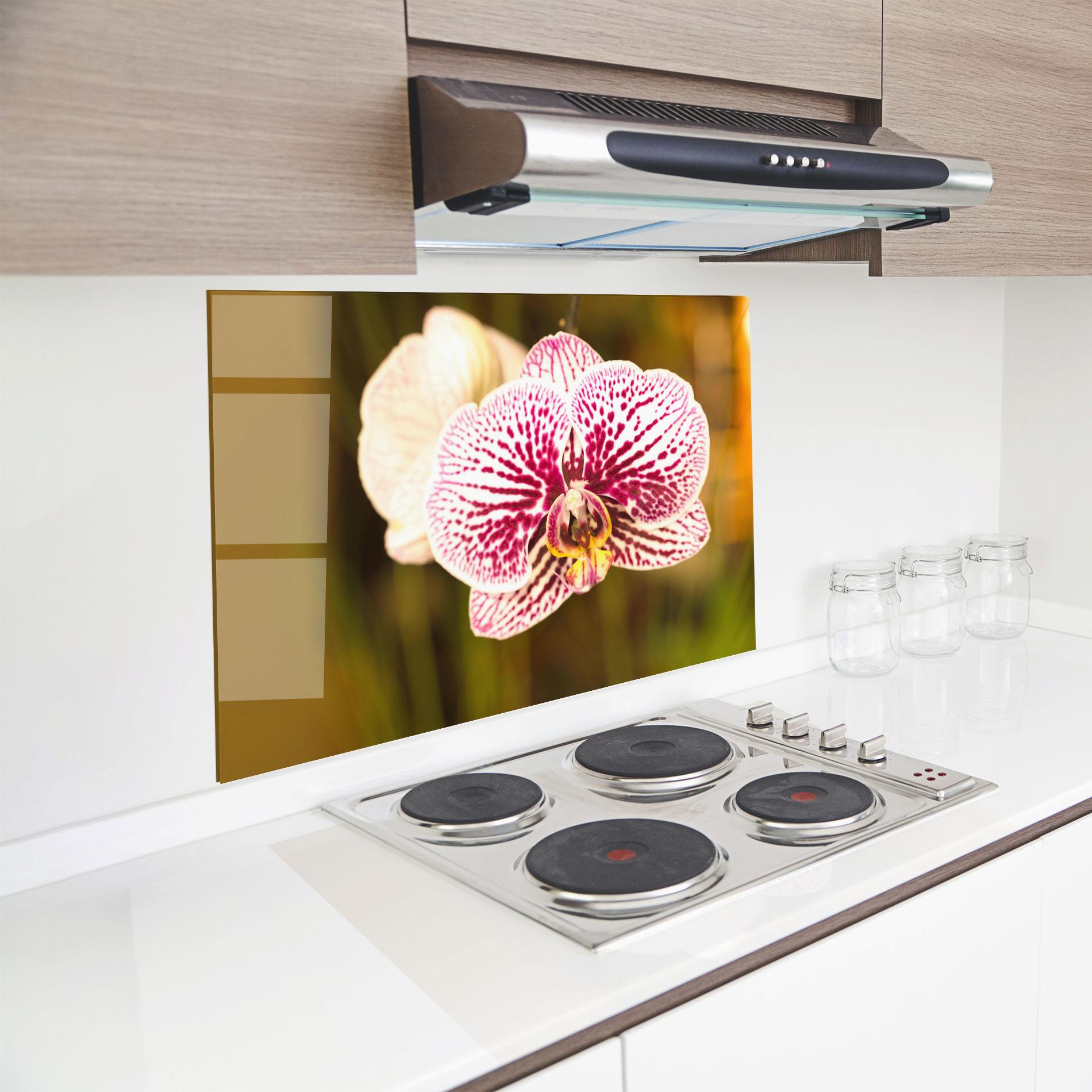 Konyhai üveg hátfal Garden Orchids mockup 8