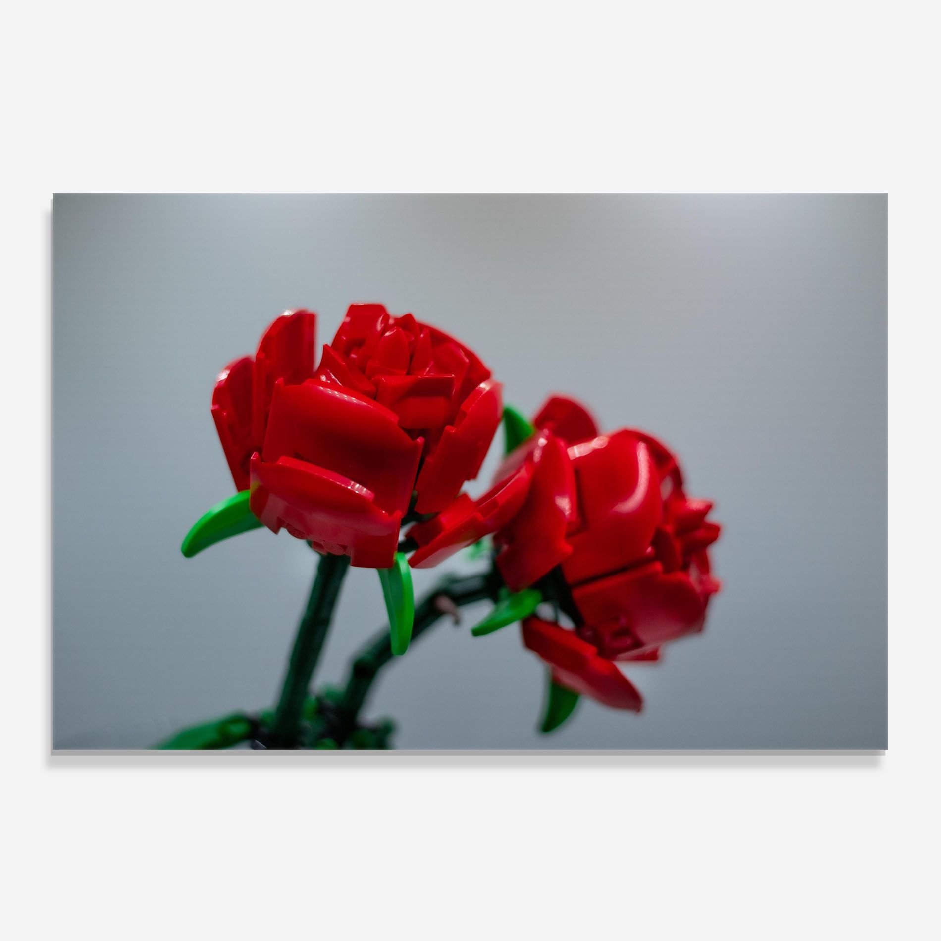 Lego Red Roses mockup 0
