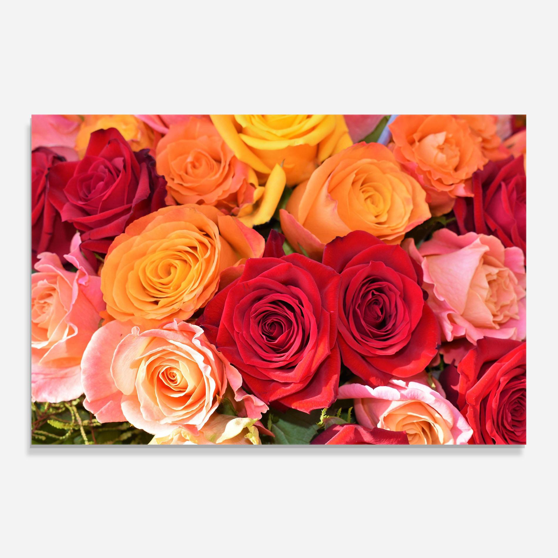 Konyhai üveg hátfal Mixed Roses mockup 0