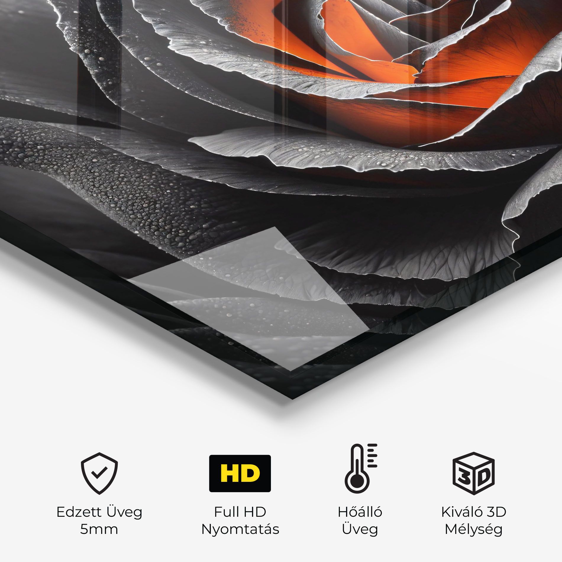 Grey Orange Rose mockup 2