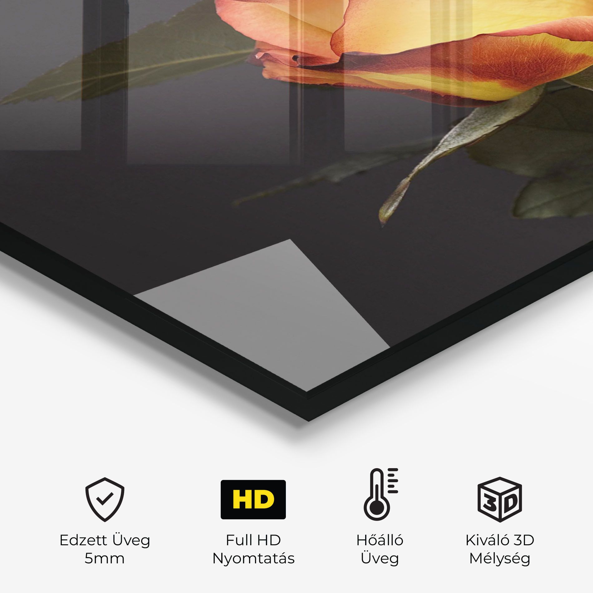 Orange Rose mockup 2