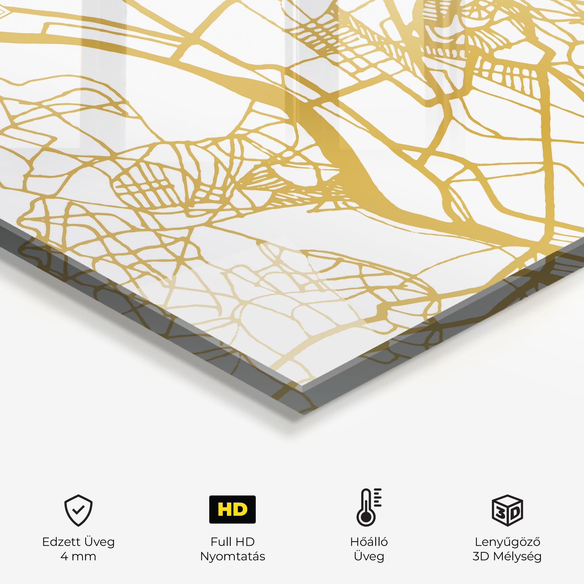 Konyhai üveg hátfal Antananarivo Map mockup 2