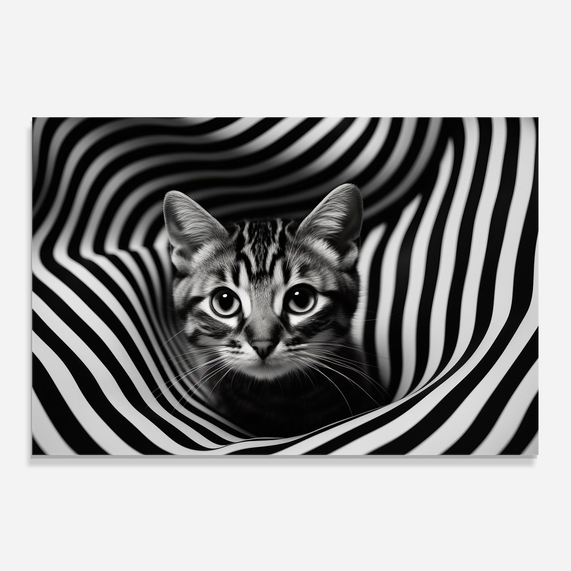 Closeup Cat Portrait mockup 0