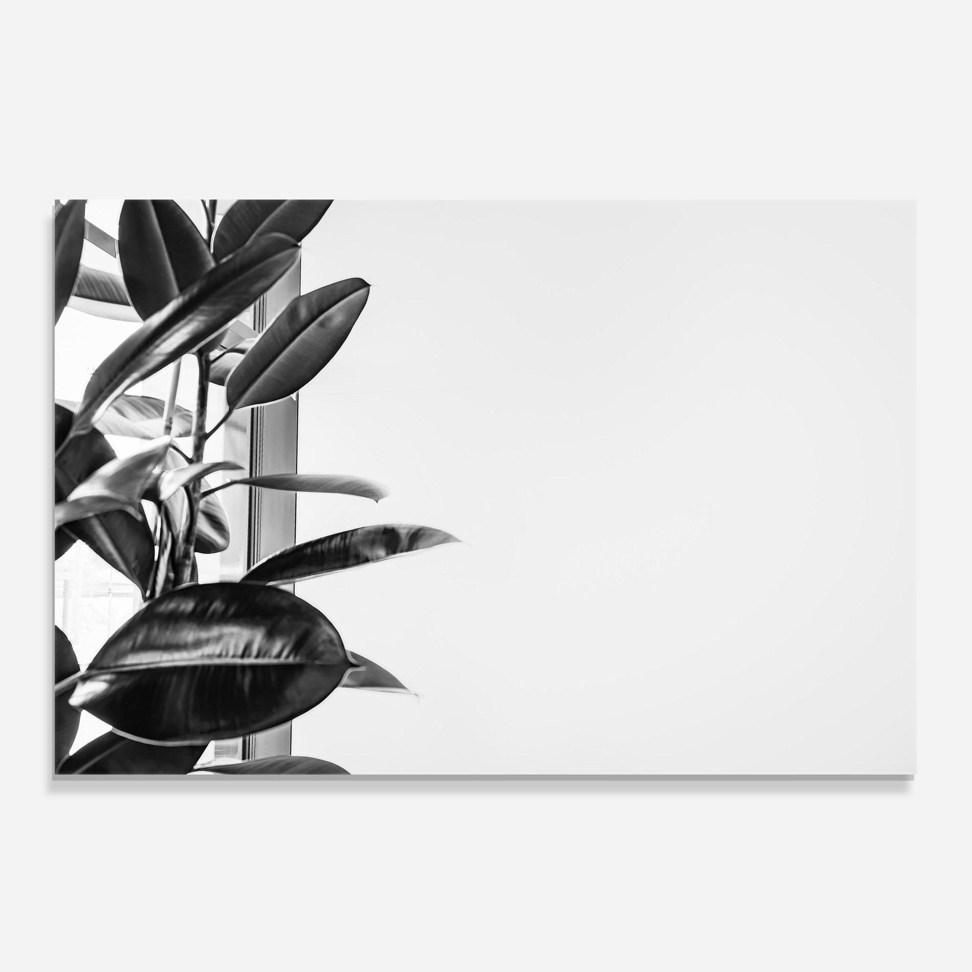 Konyhai üveg hátfal Grey Plant mockup 0