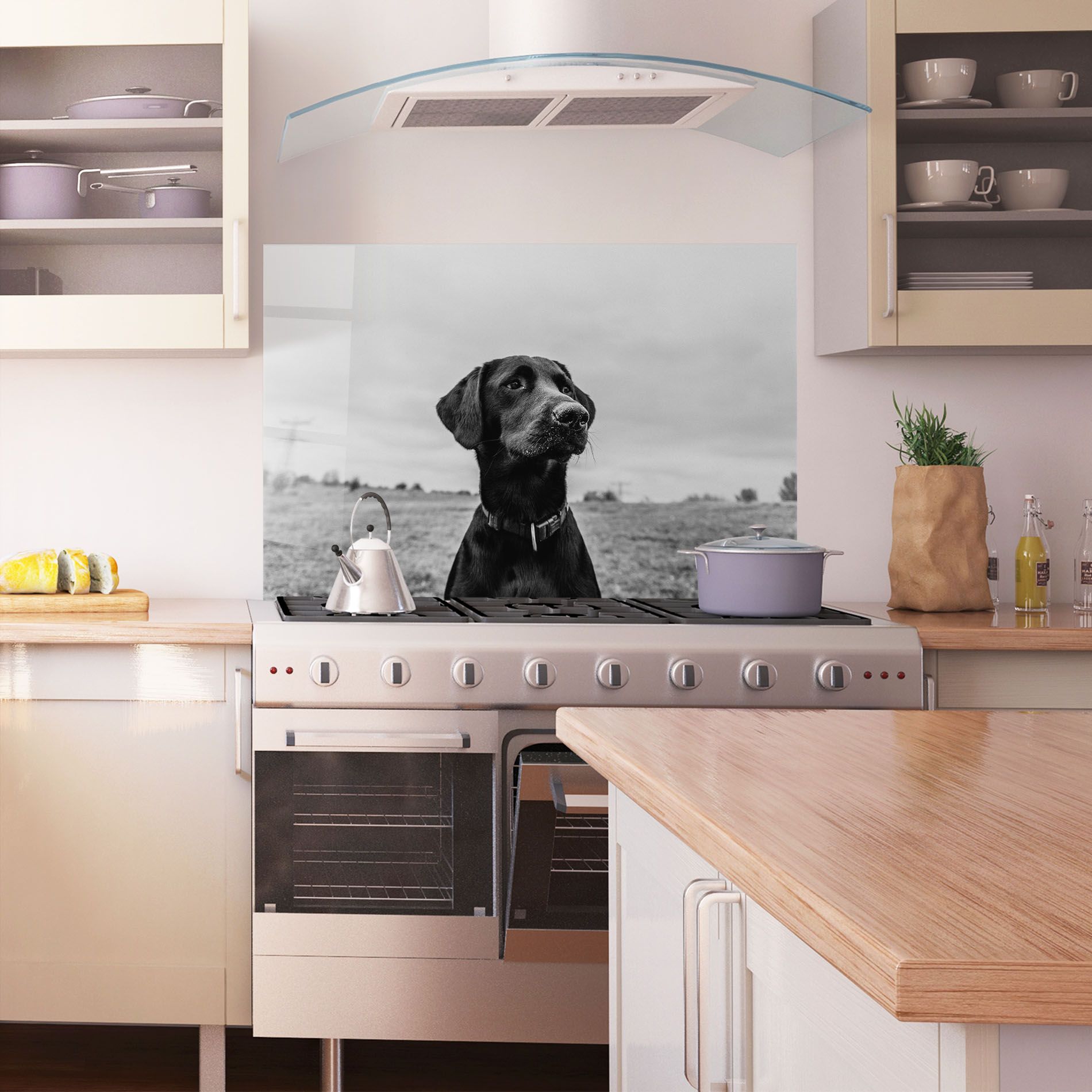 Black Dog mockup 1