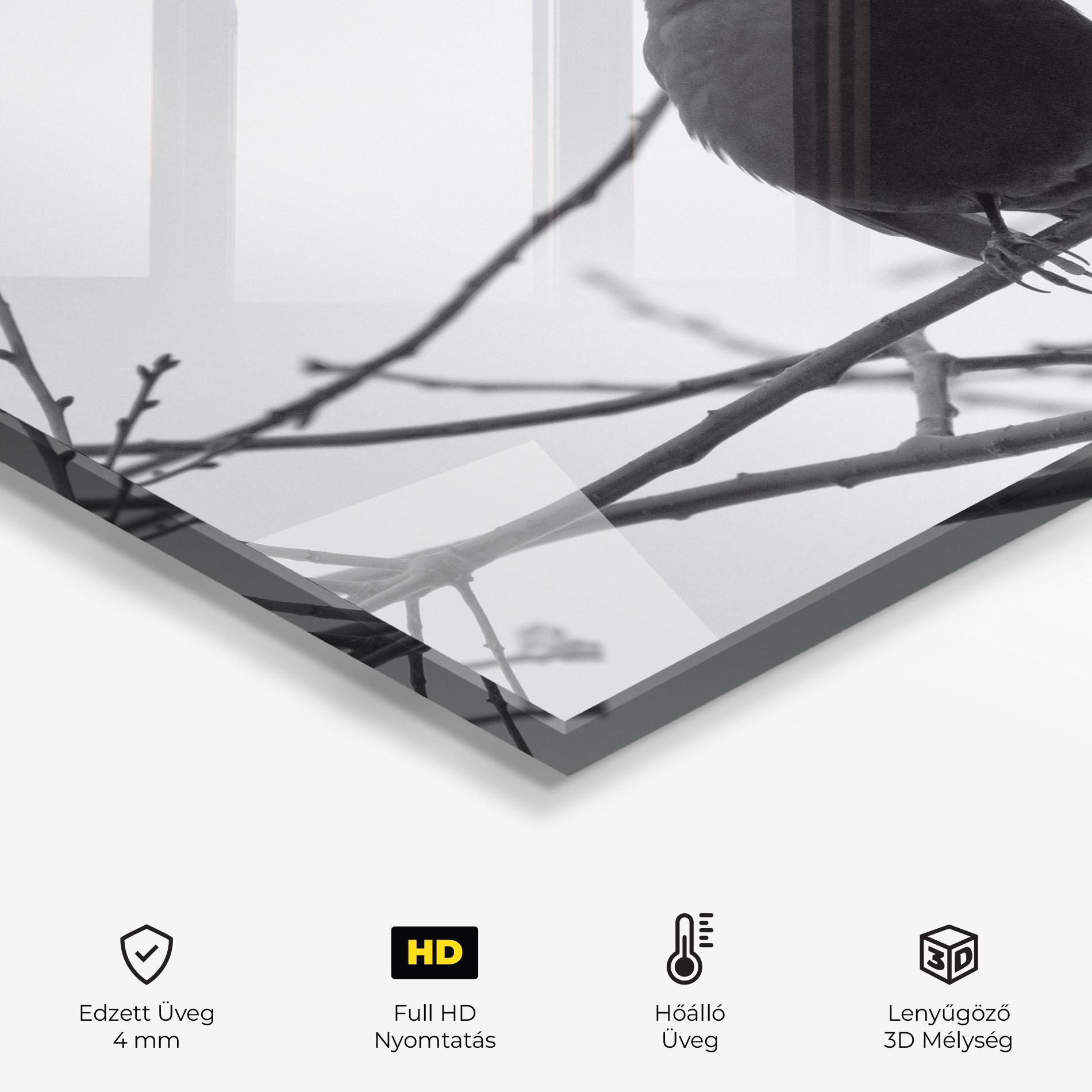 Konyhai üveg hátfal Black Bird mockup 2