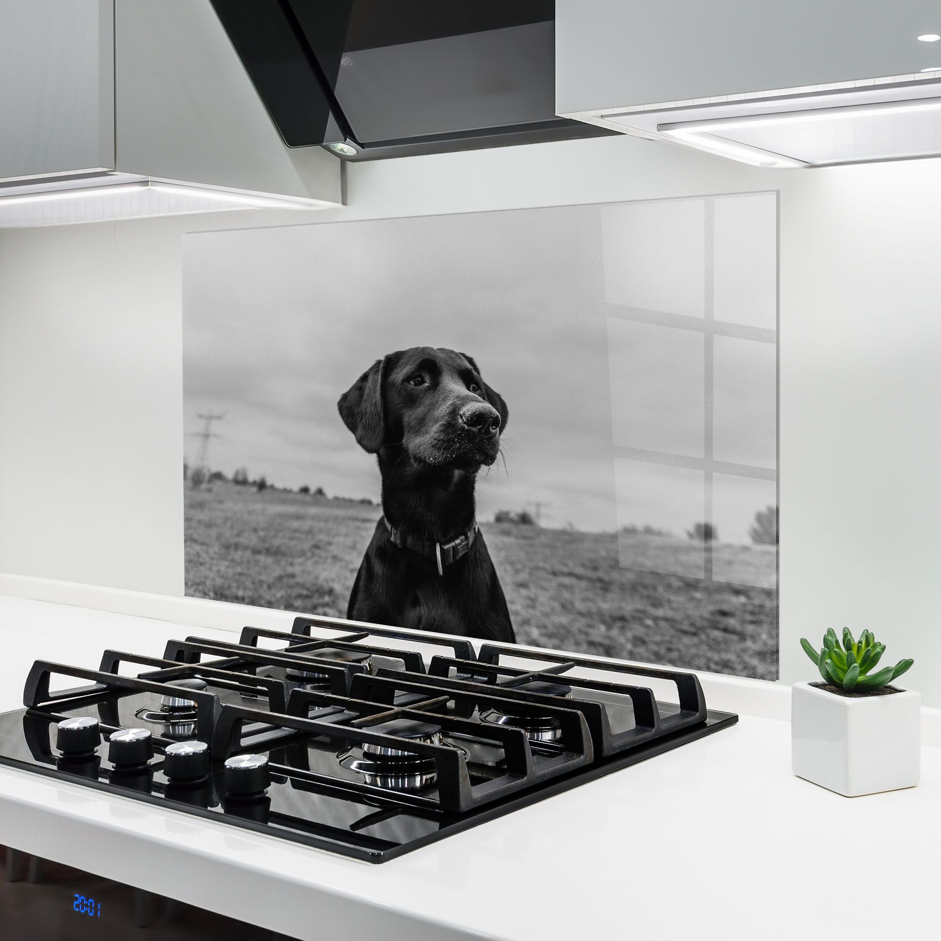 Black Dog mockup 6
