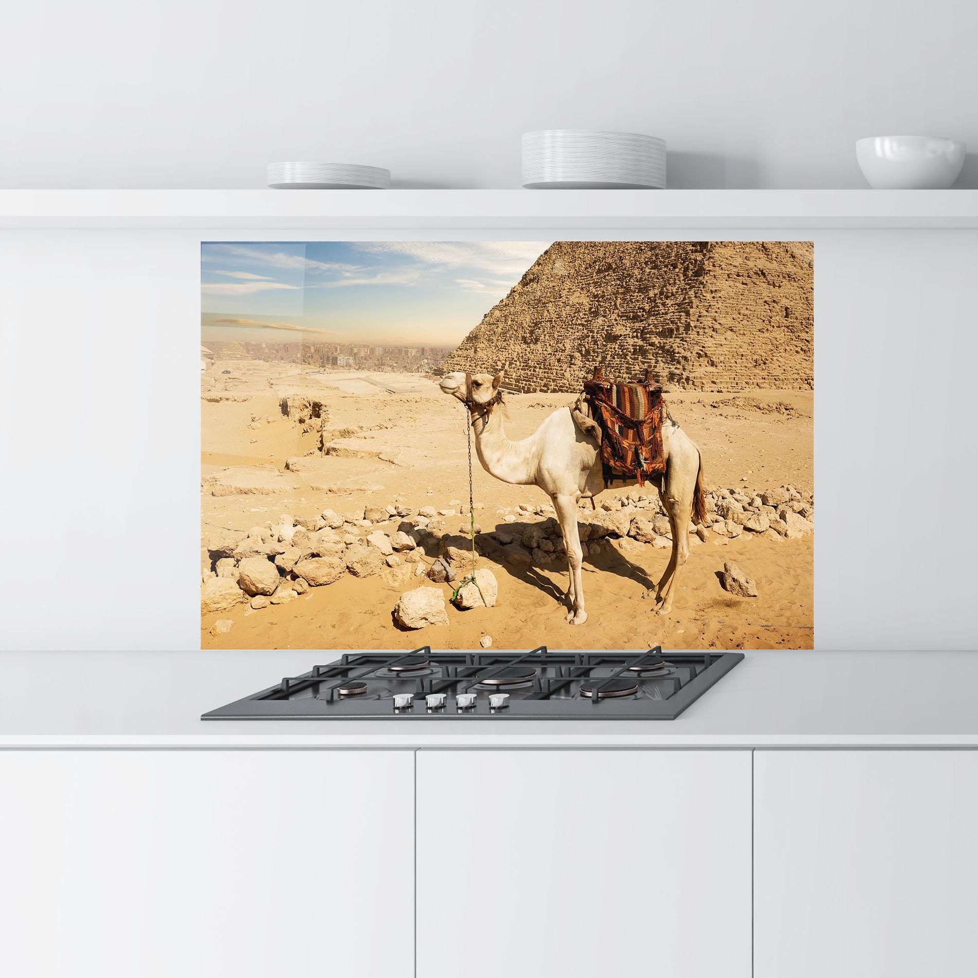 Konyhai üveg hátfal Camel Near Ruins mockup 9