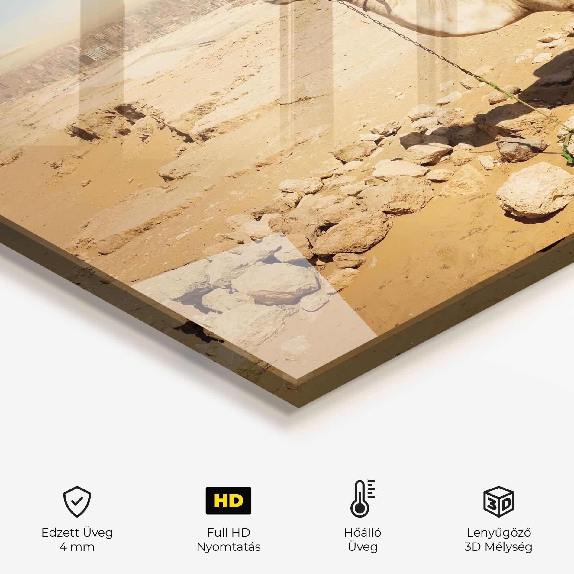 Konyhai üveg hátfal Camel Near Ruins mockup 2