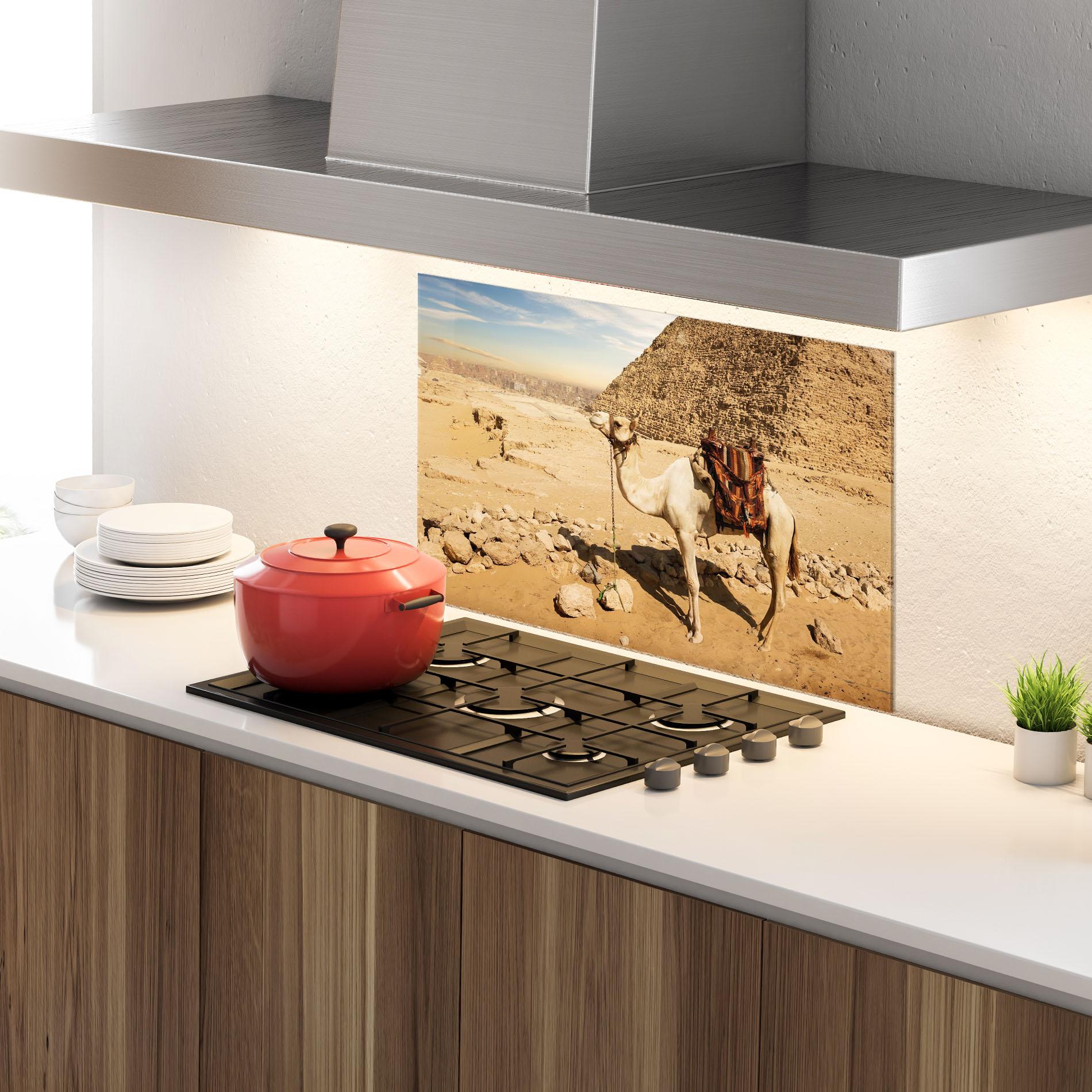Konyhai üveg hátfal Camel Near Ruins mockup 4
