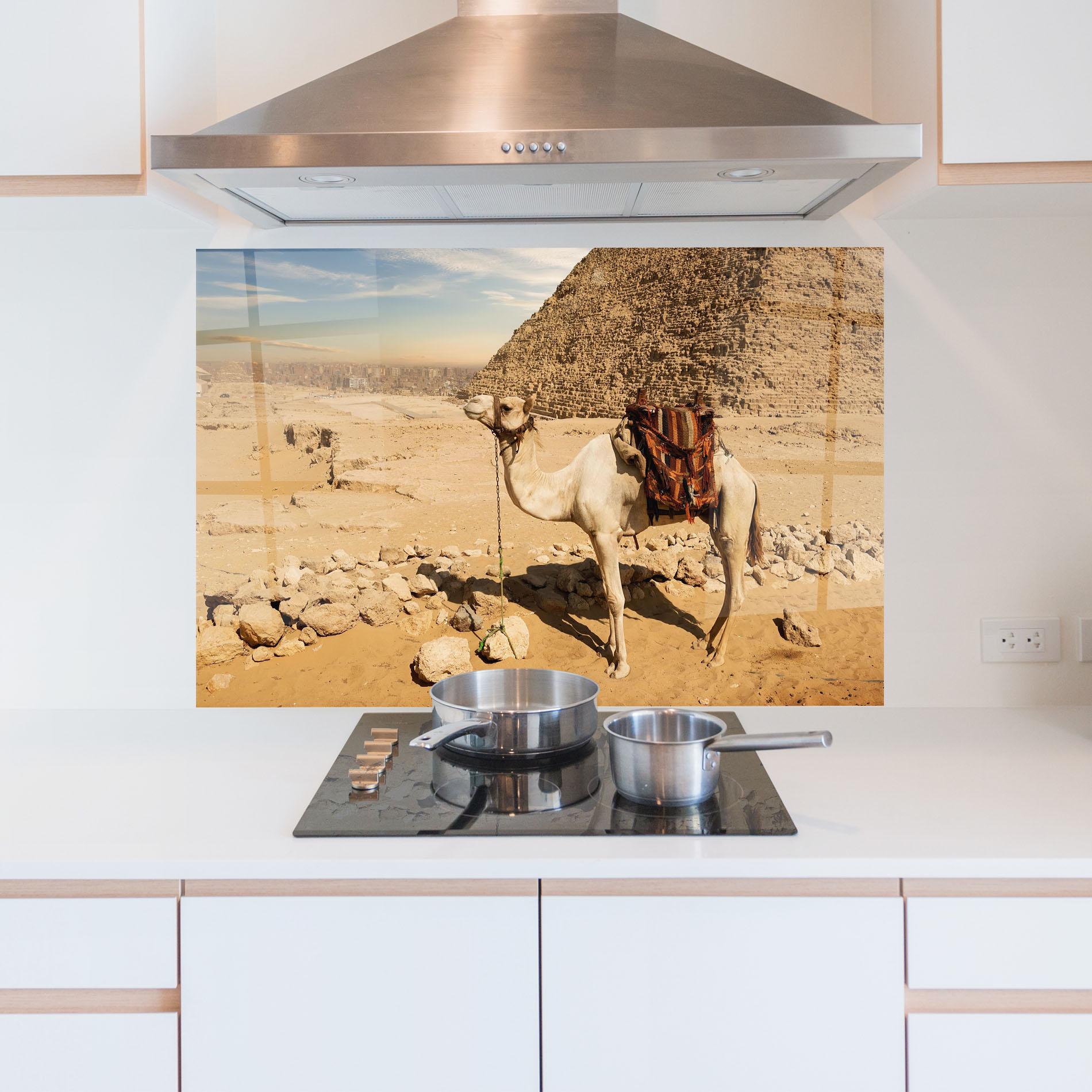Konyhai üveg hátfal Camel Near Ruins mockup 5