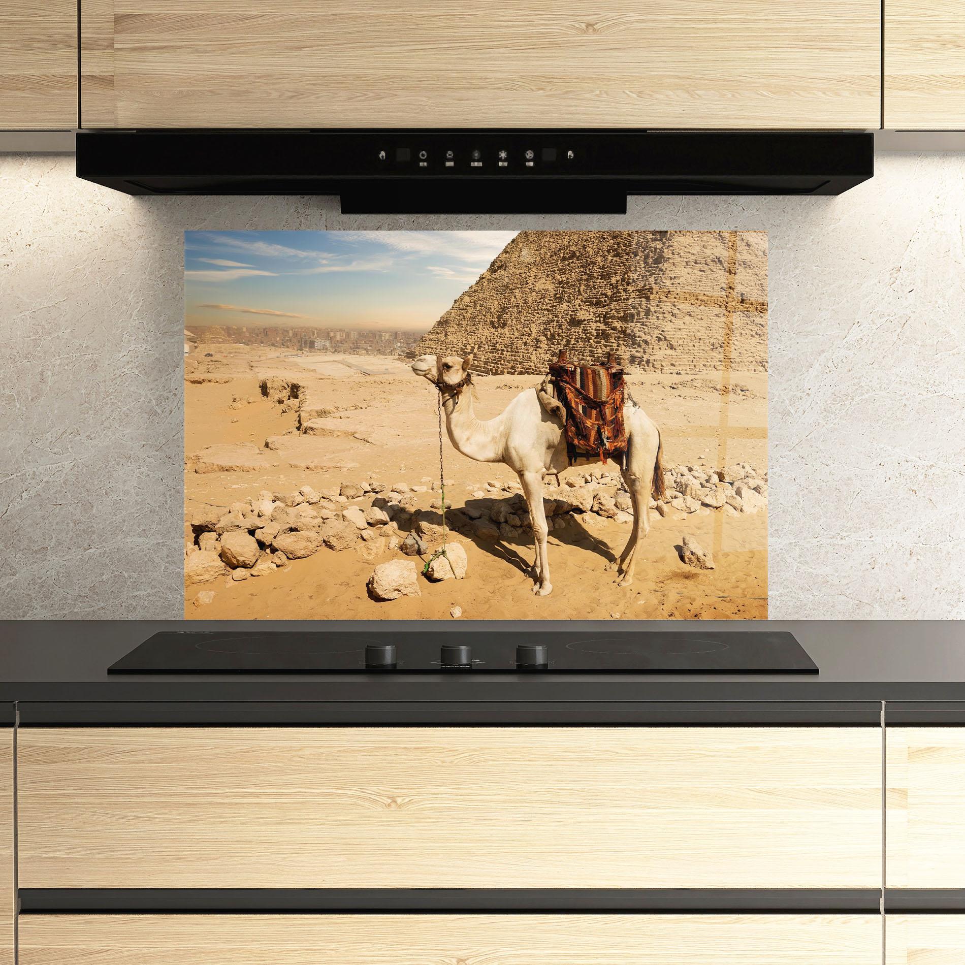 Konyhai üveg hátfal Camel Near Ruins mockup 3