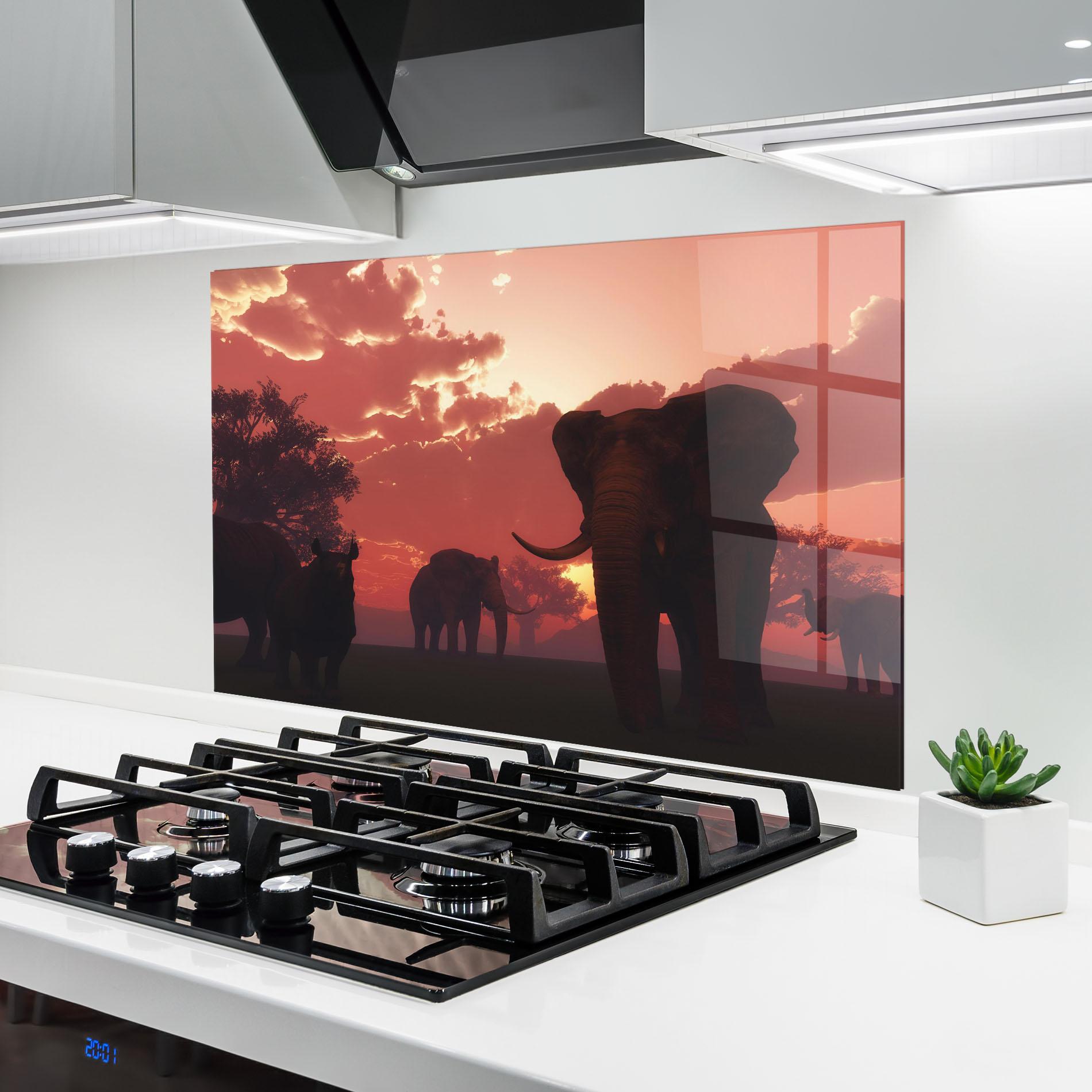Konyhai üveg hátfal African Elephant View mockup 6