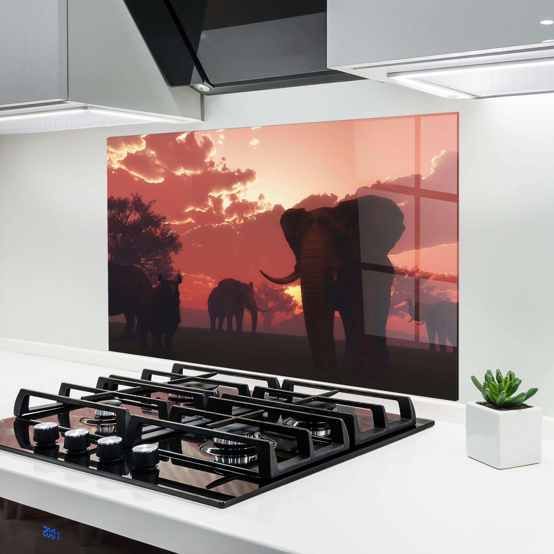 African Elephant View mockup 6