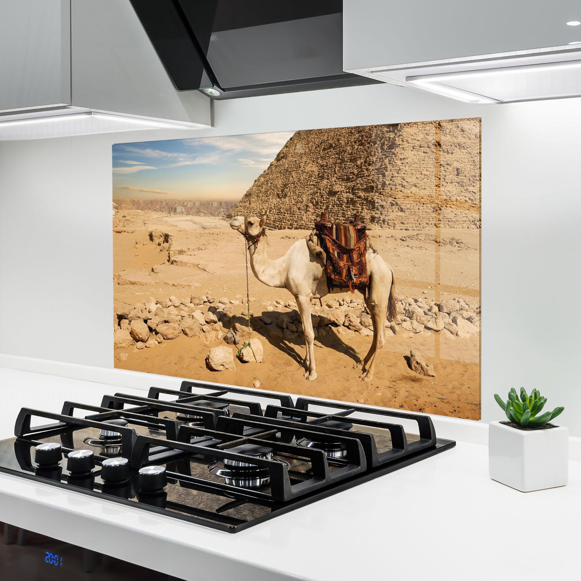 Konyhai üveg hátfal Camel Near Ruins mockup 6