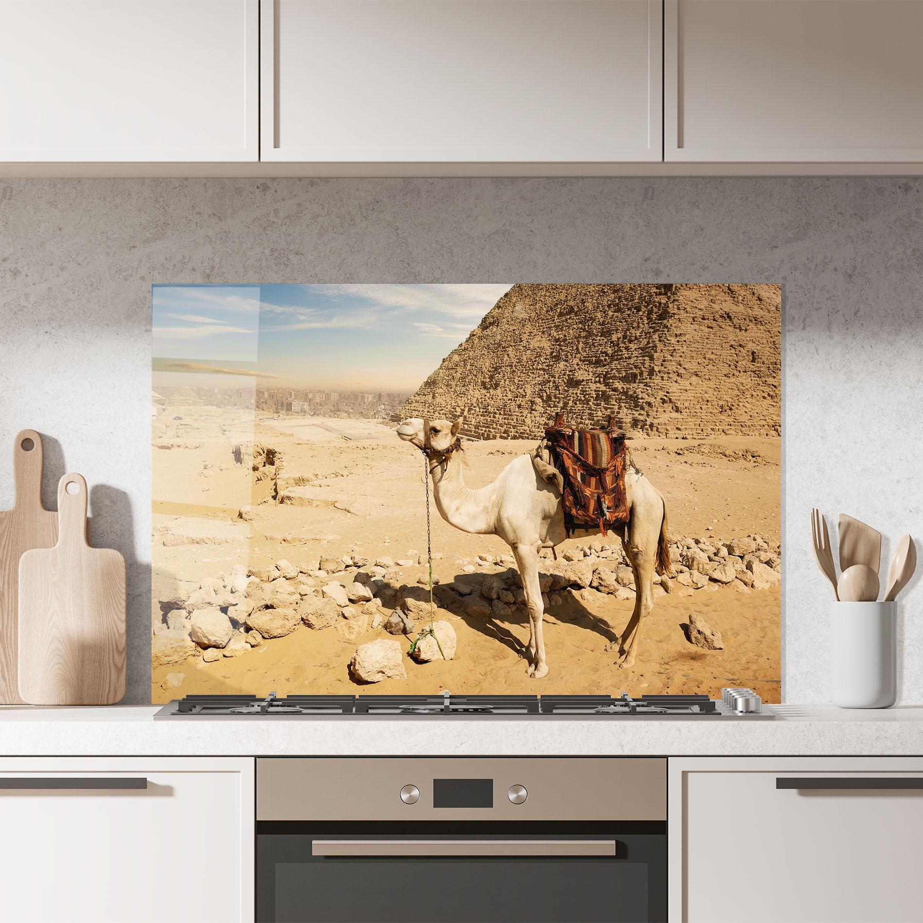 Konyhai üveg hátfal Camel Near Ruins mockup 7