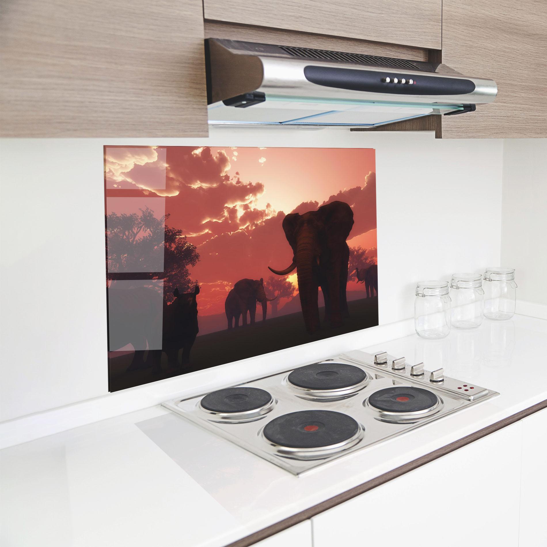 Konyhai üveg hátfal African Elephant View mockup 8