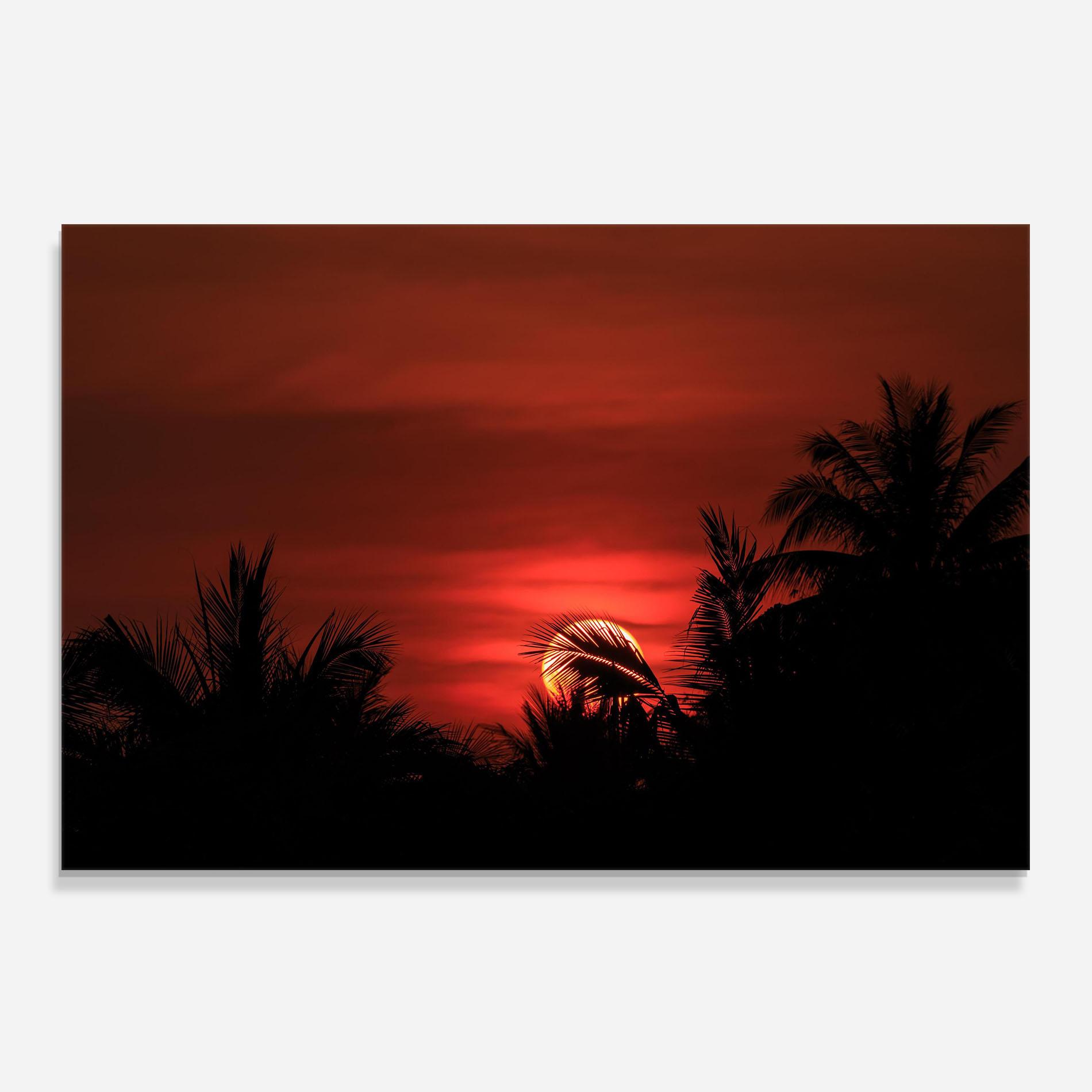 Konyhai üveg hátfal Coconuts Tree Sunset mockup 0