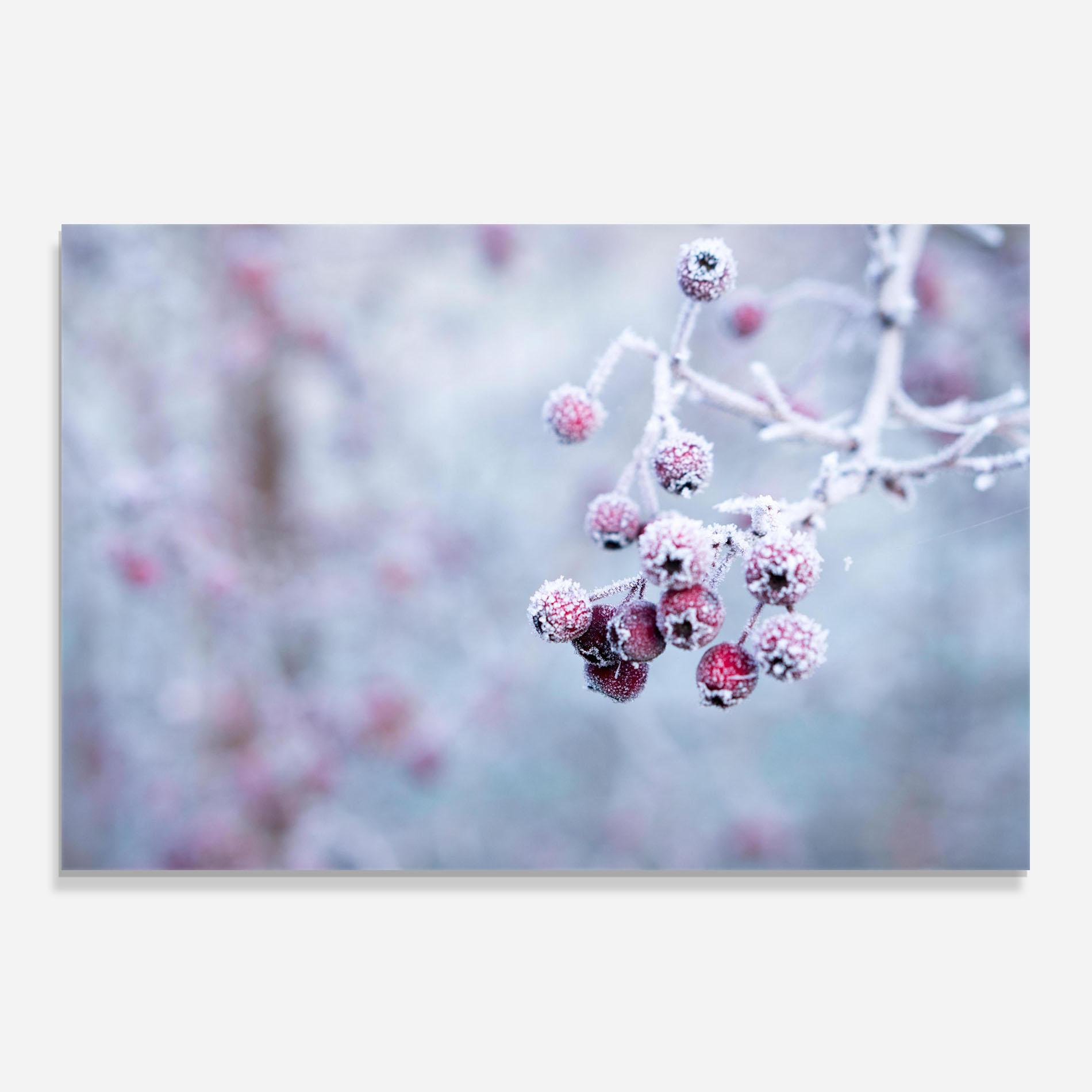 Konyhai üveg hátfal Red Winter Fruits mockup 0