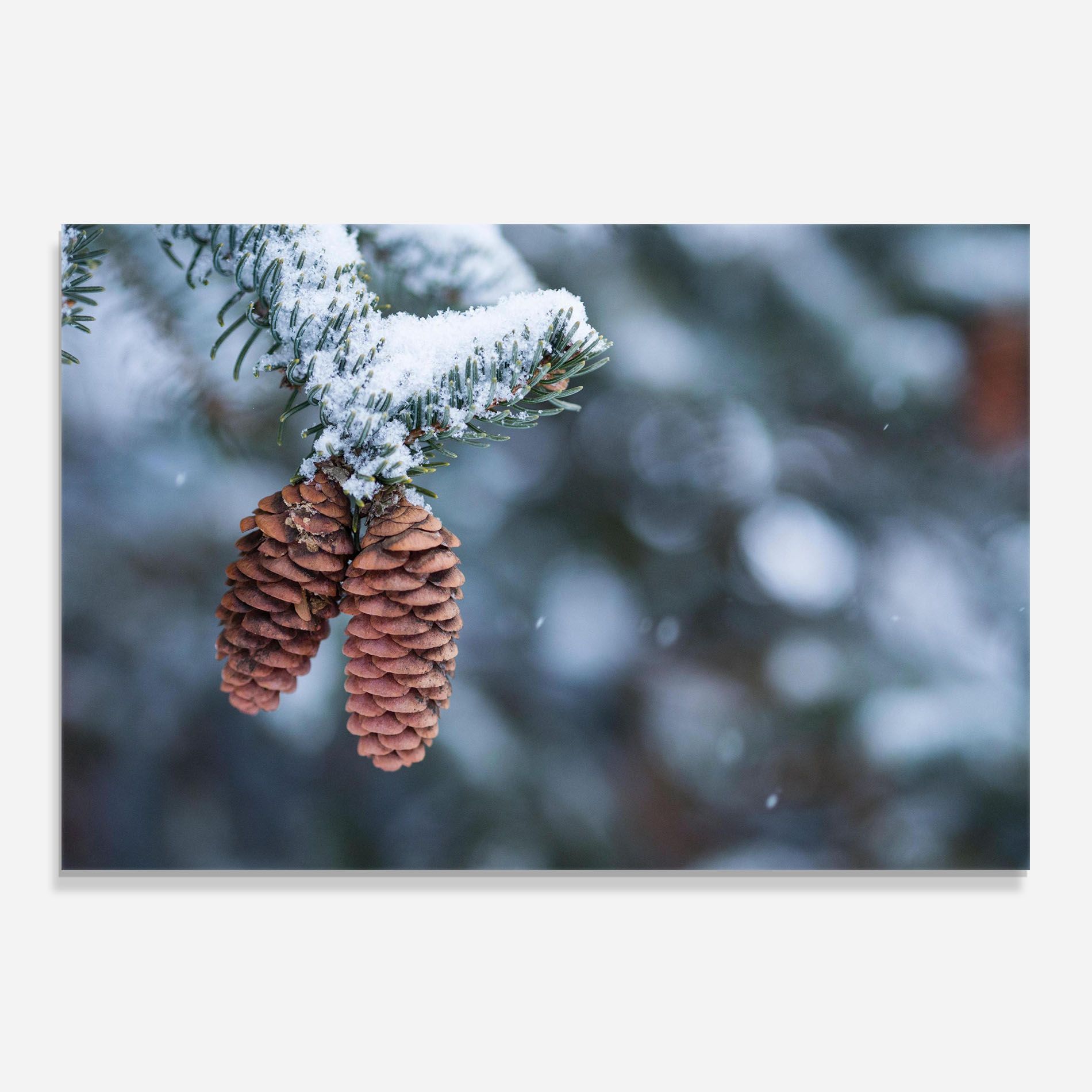 Winter Cones mockup 0