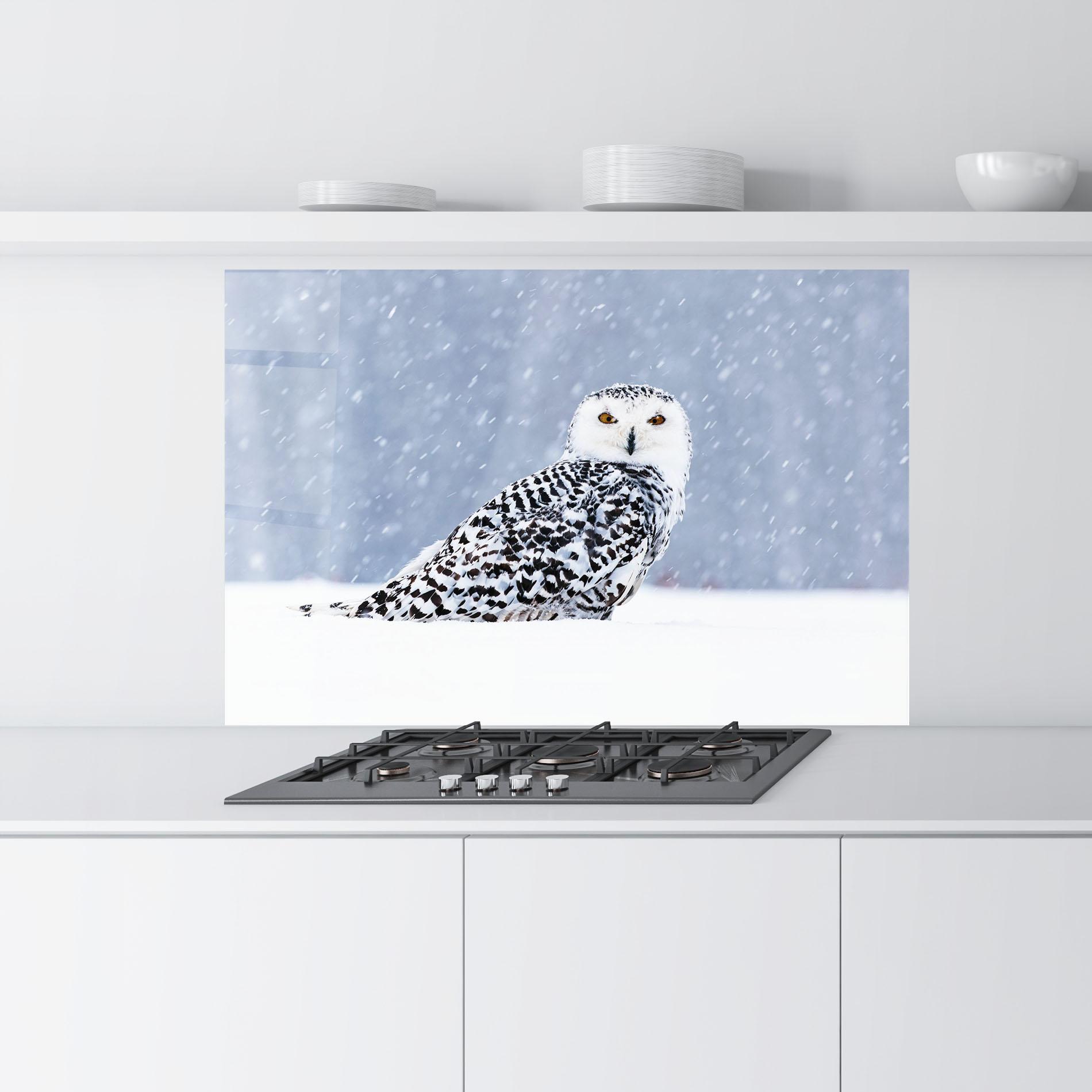 Konyhai üveg hátfal Snow Owl mockup 9